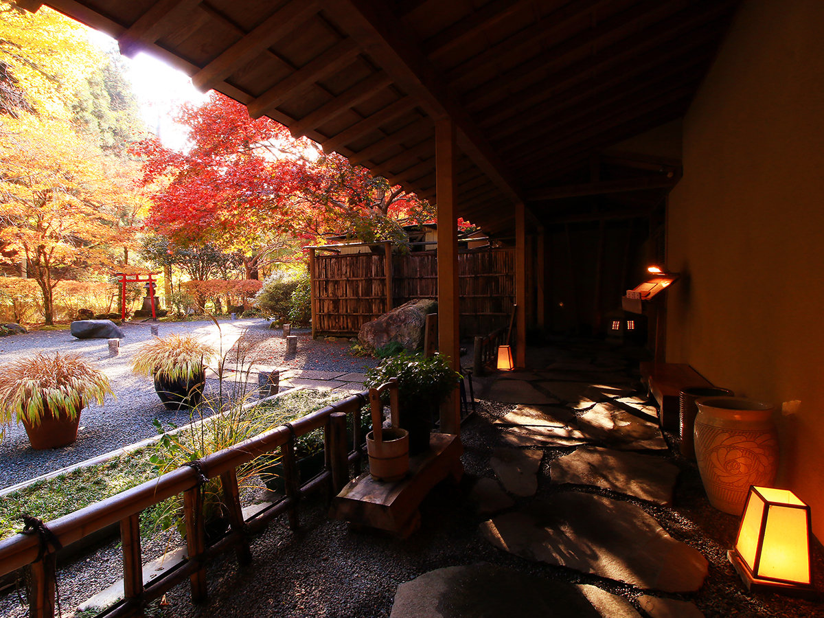 #���ł����q�l���}���������悤�����������������Ă���܂��B