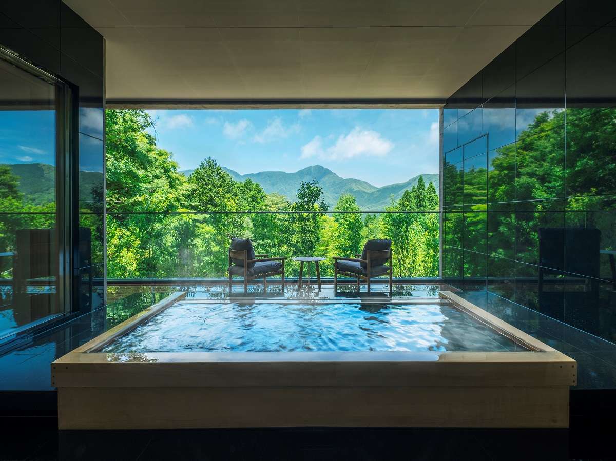 �ʊكX�C�[�g�@�q���I�V���C�i�C���[�W�j