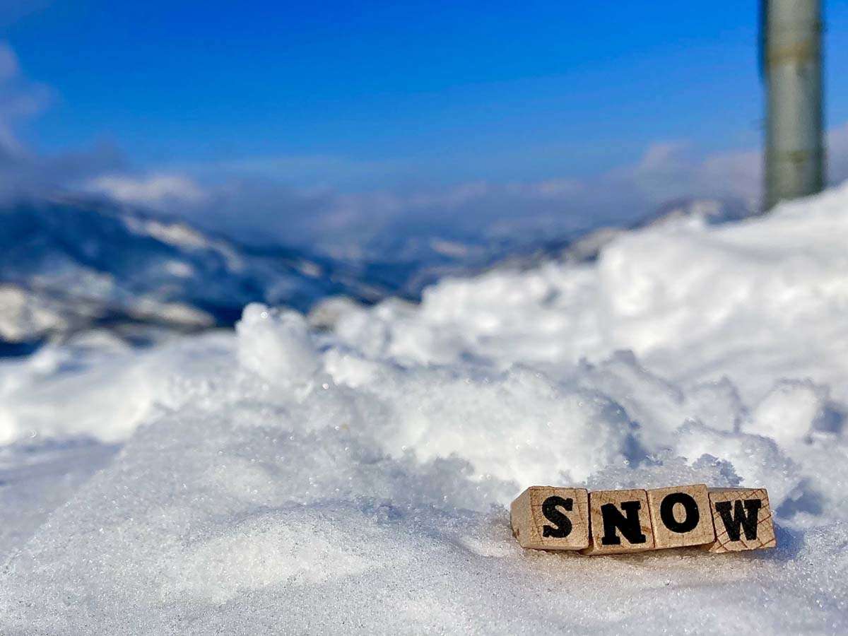 y~G聚XL[zFl̂z҂Ă܂I