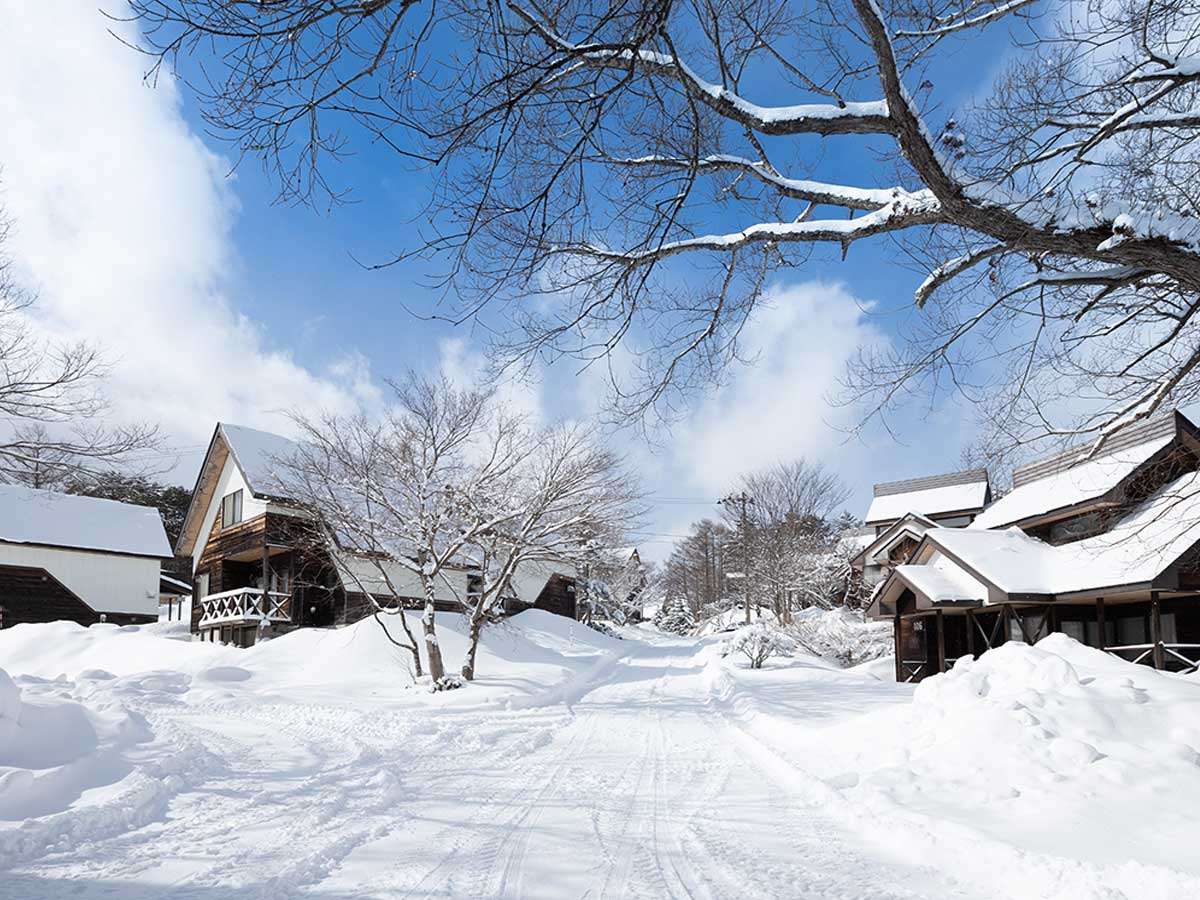 Akabeko�~�n���̓~�̗l�q