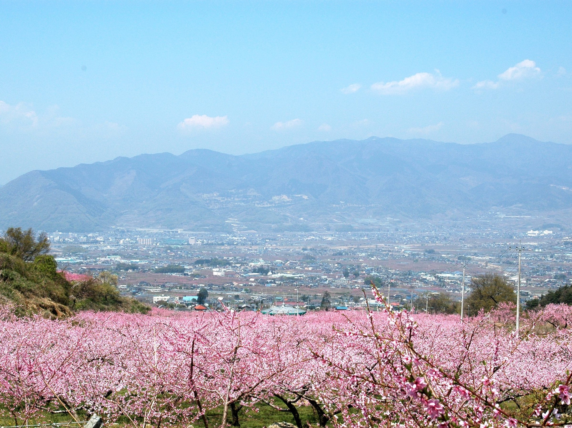 �������i4�����E���̉�/���ق���ԂŖ�30���j