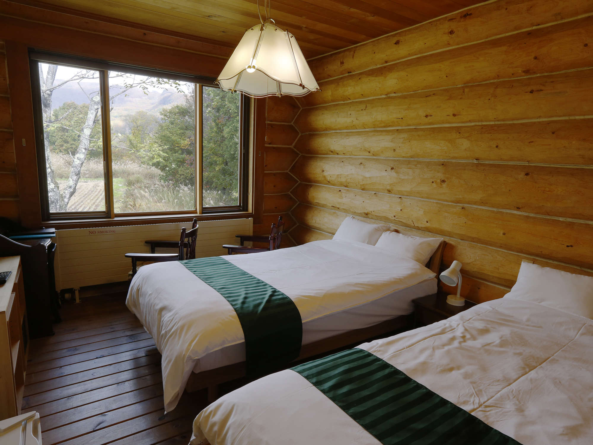 �c�C�����[�� ������͖]�ޔ��n�̎R�X