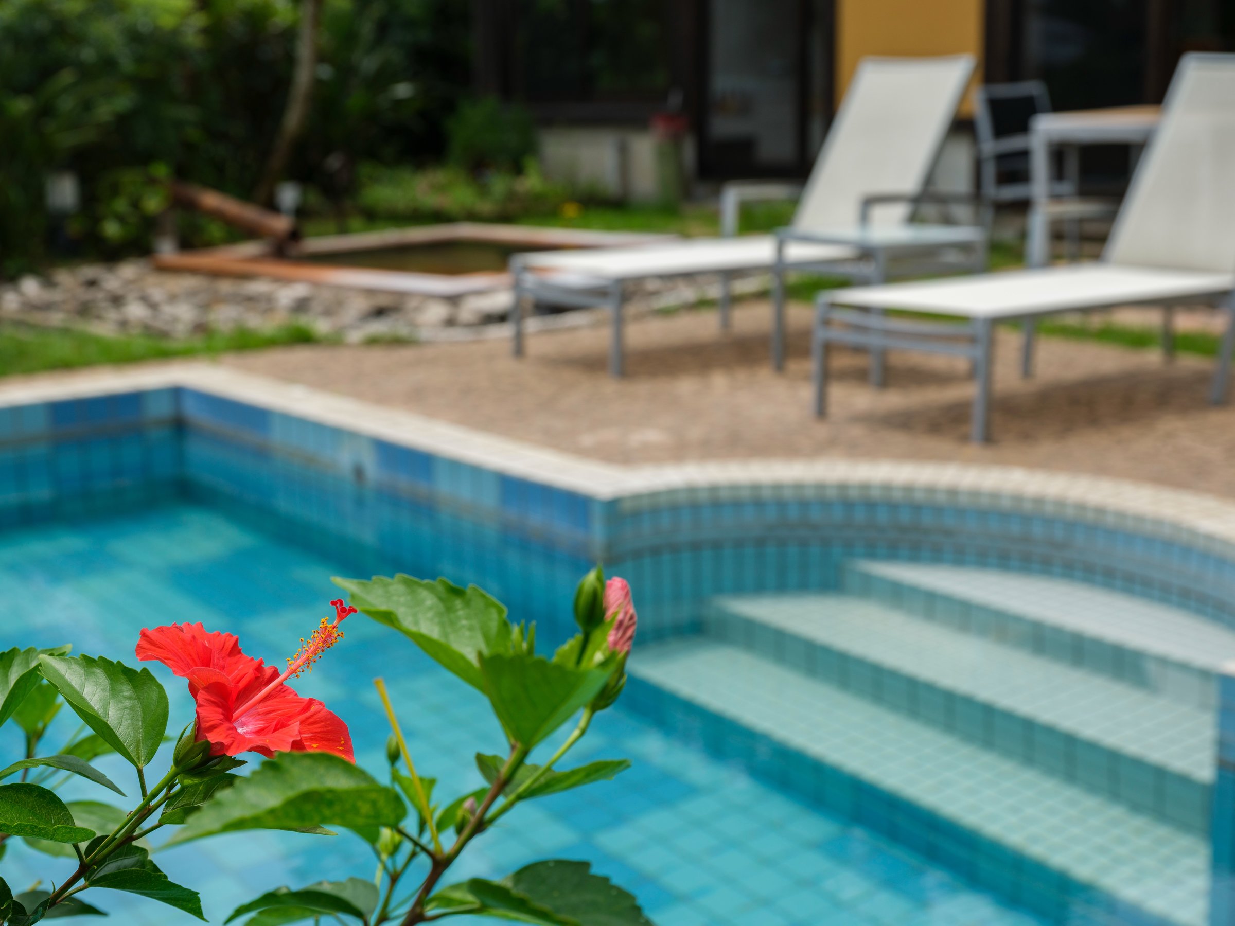 ܂œ썑][gB򐅃v[ƘIVCtłB () 