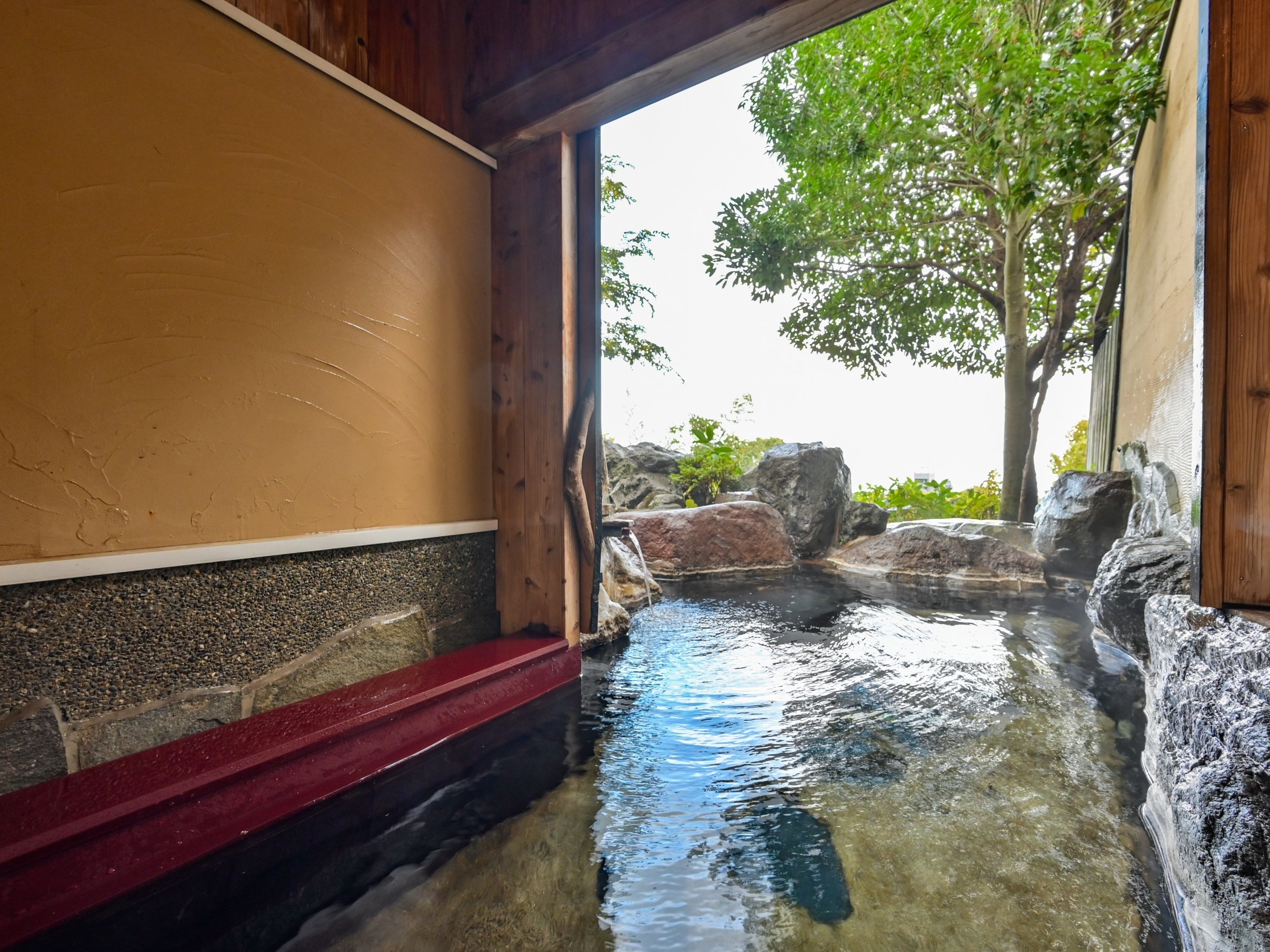 �q���A�I�V���C