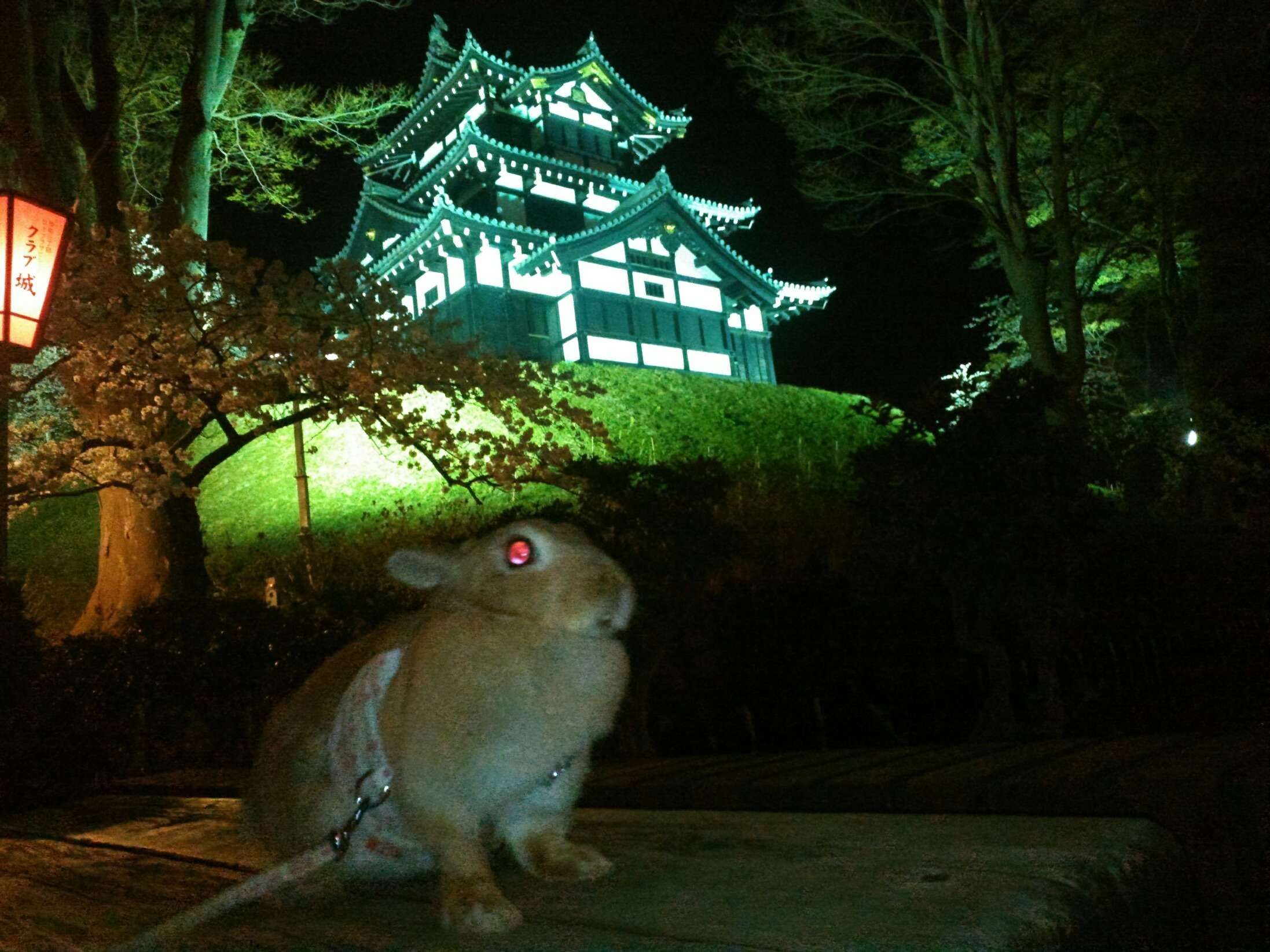 ���c�隬����