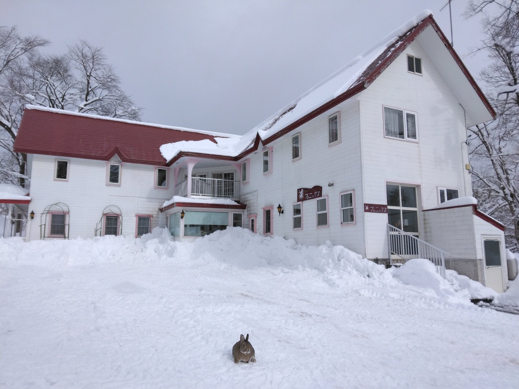 �~�̊O�ςƊŔE�T�M�́u�𑠁iShukura)�v