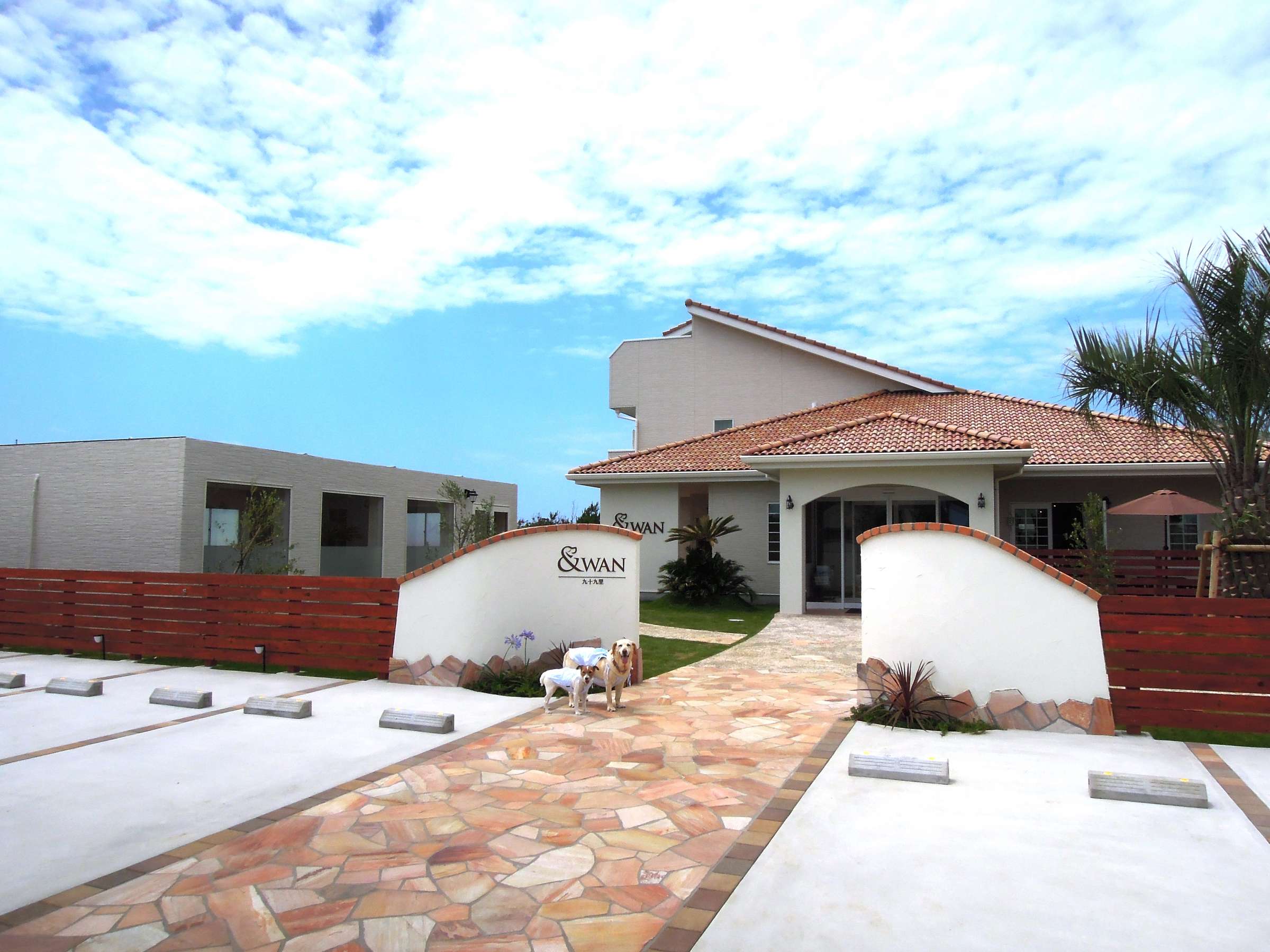 ݂ƂʂƂ􈤌ƃI[i[l̗DȎ񋟁