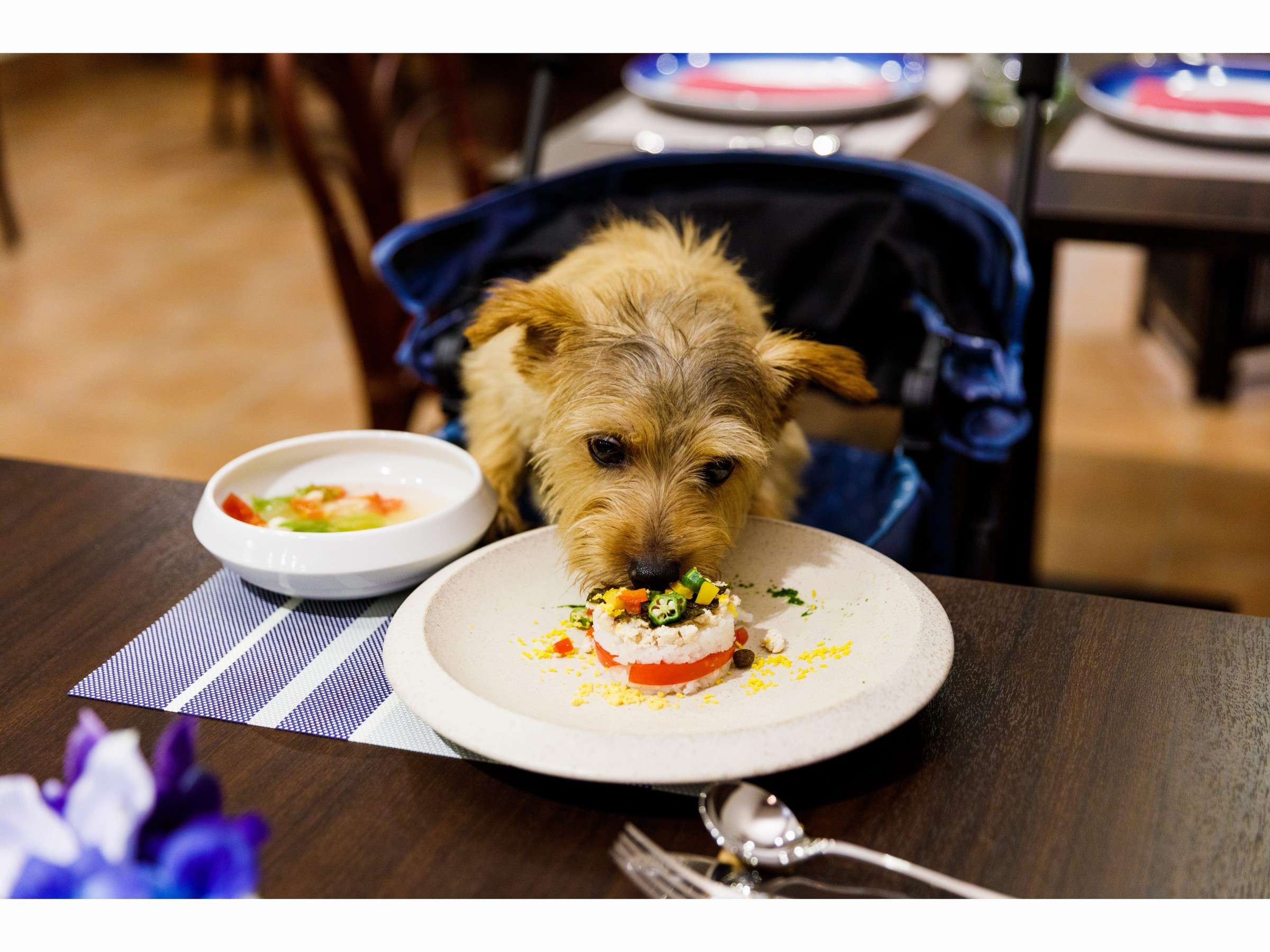 I[i[lƓe[uŃꏏɂHo܂(pJ[gݏo)B