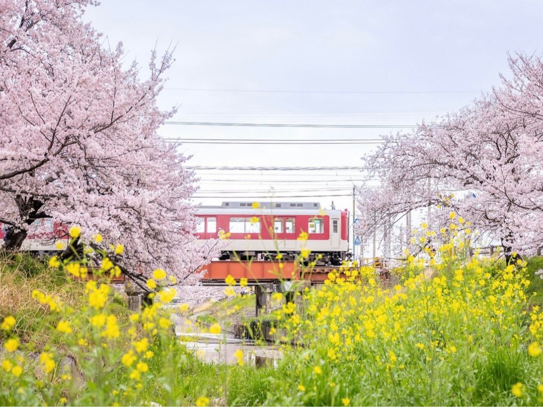 ���c��{��