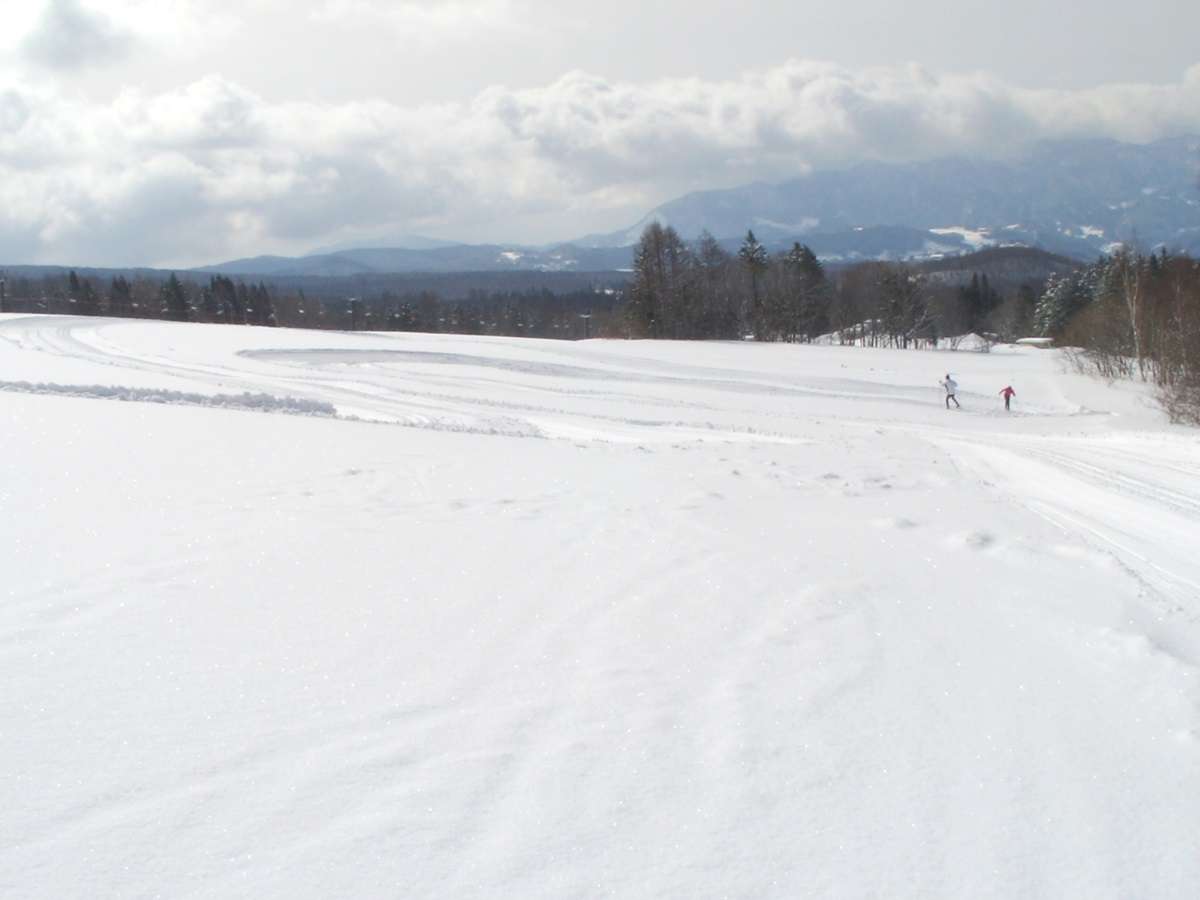 �ˉB�X�L�[��