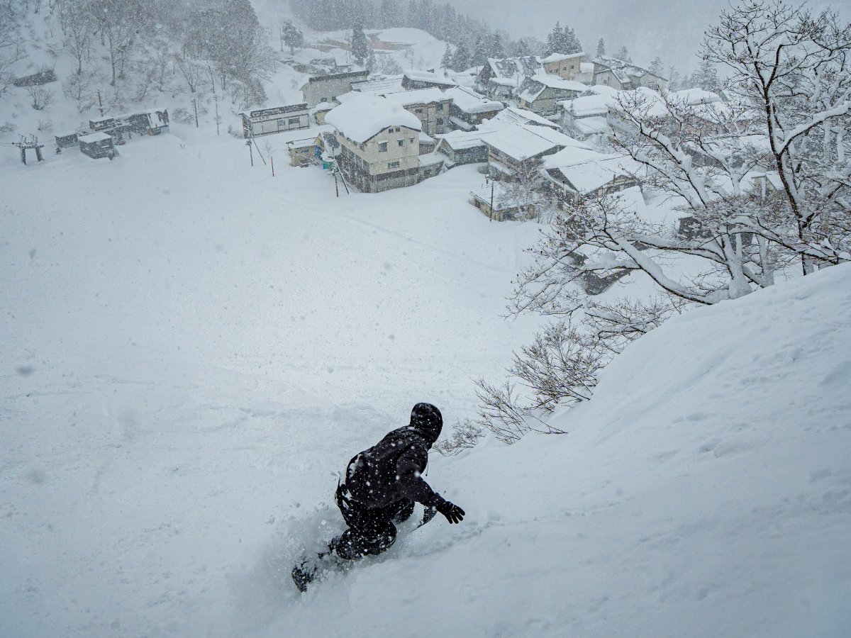 *Qf̌iF/tg~ꂩQf傫؂ɂ͊։낷iX|bgI