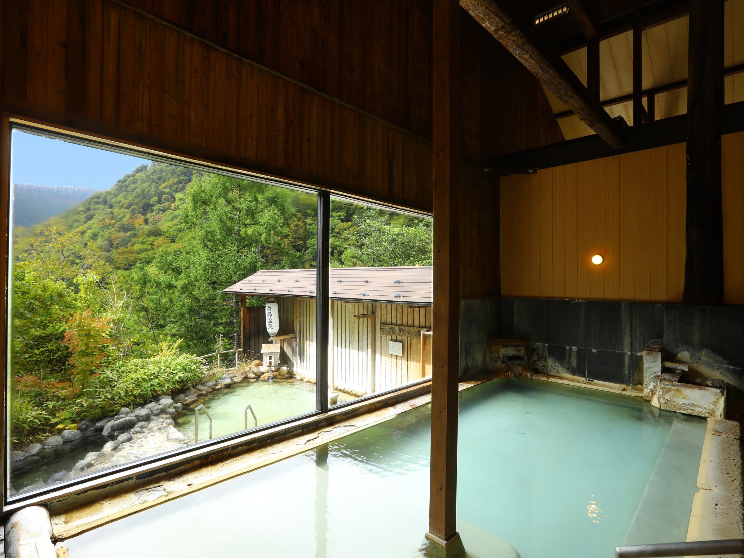 �傫�ȑ����甒������̔铒�������킦������i�j���p�j