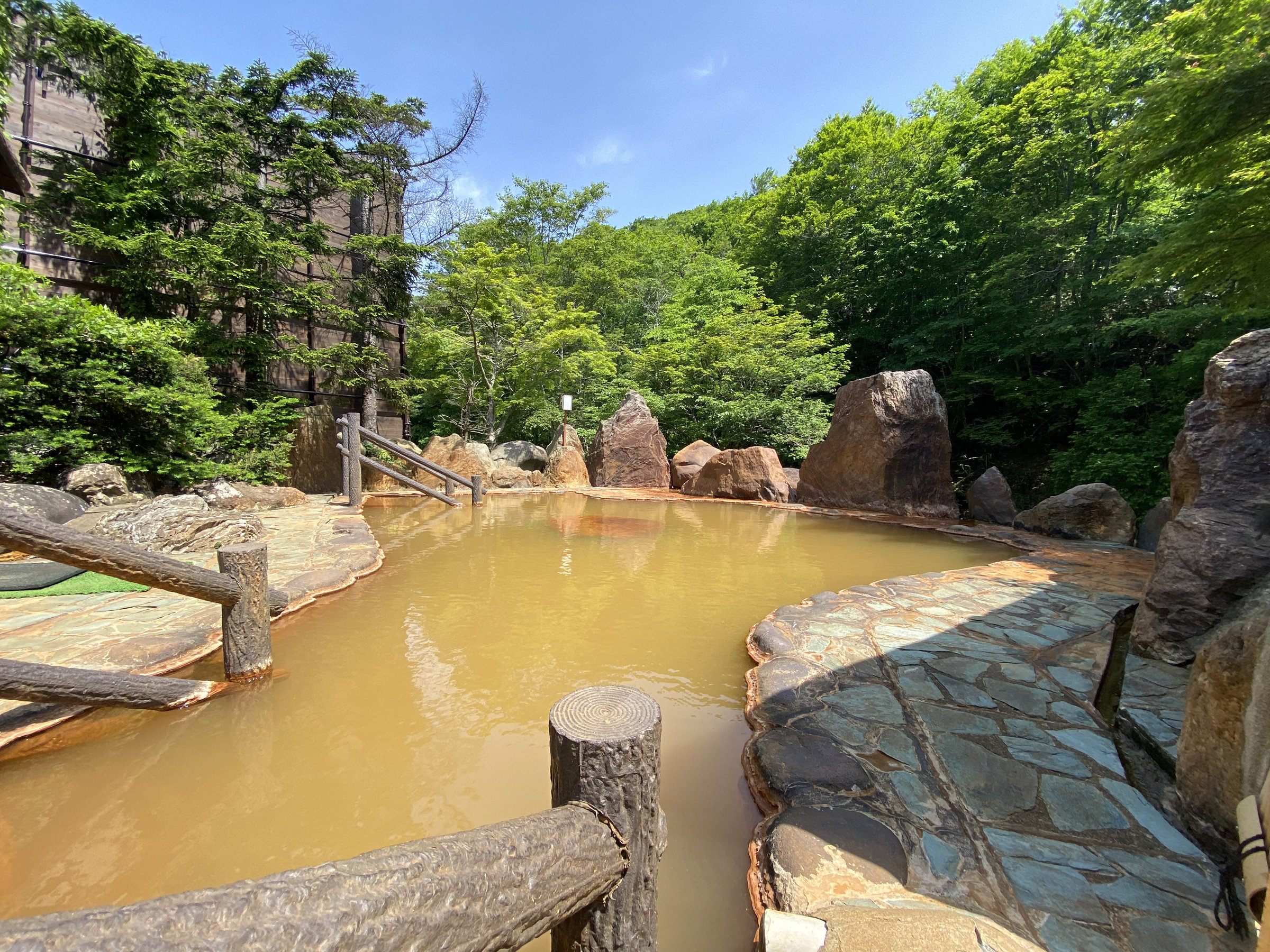 ���ڂ��������̑�I�V���C�B��̂����炬�𕷂��Ȃ���i�āj