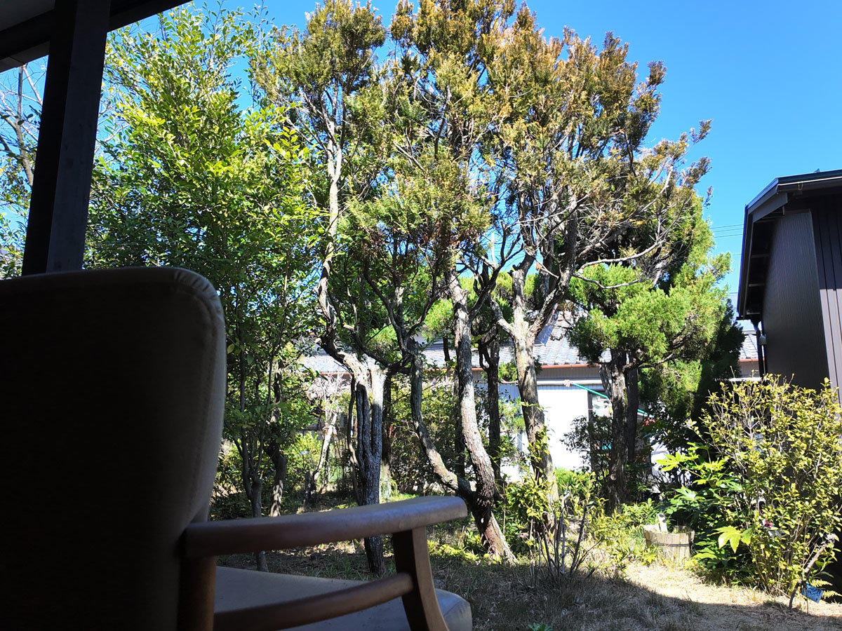 ������Ȃ��߂Ȃ���ځ[���Ƃ����ґ�*