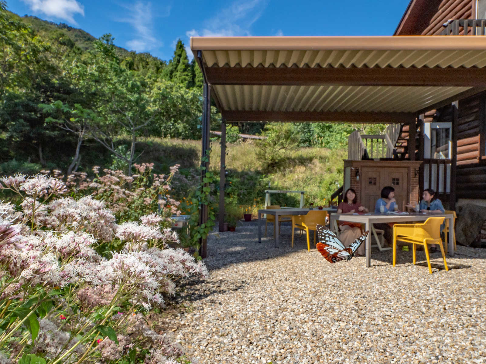 �o�^�t���C�K�[�f�����͋C