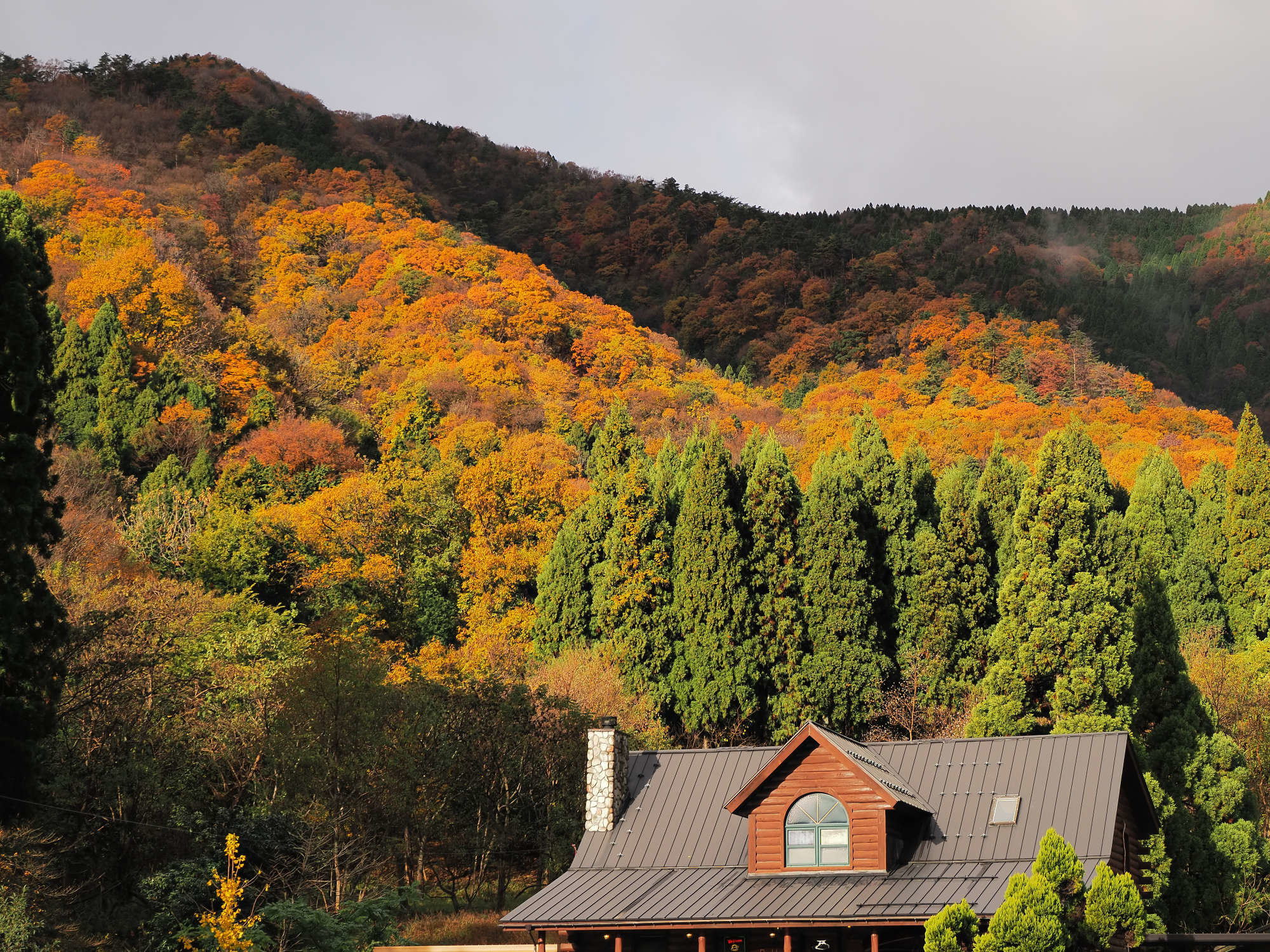 ���X���A�����i�΂̍g�t