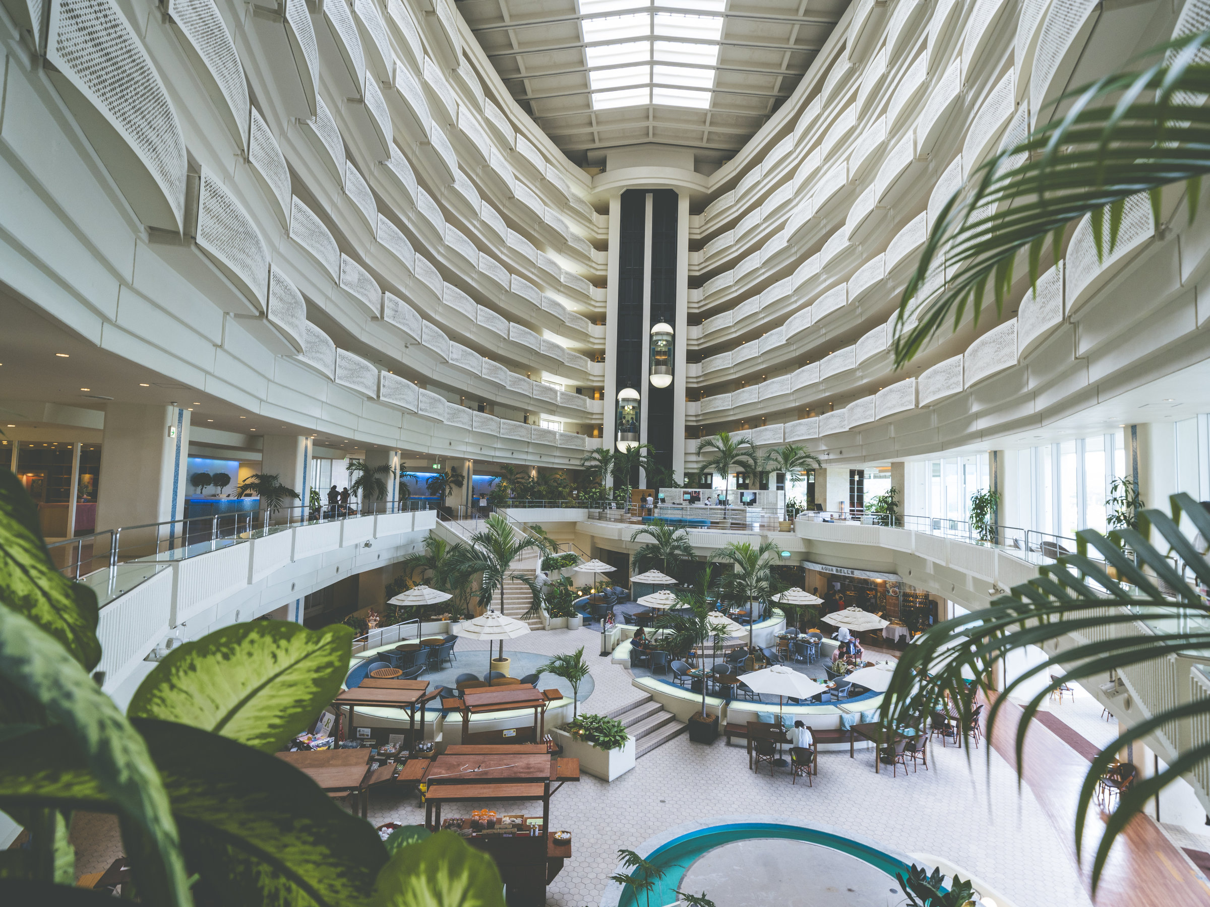 ���r�[ �A�g���E��