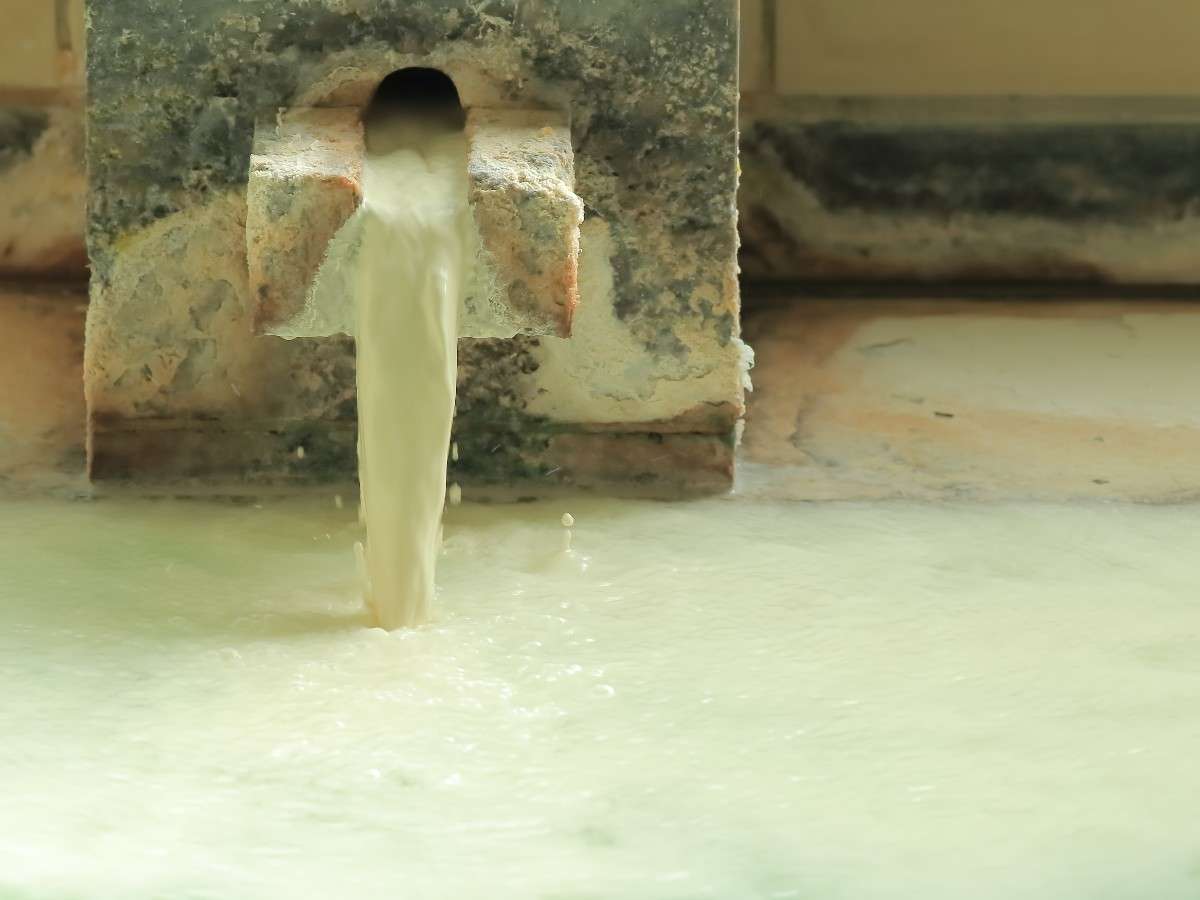 Hot Spring/����F100������|����������B�T��1�x�̓��̉ԗ����̌ゾ���������ɕω����܂�