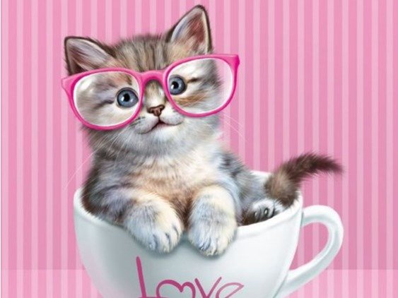 �L���y�z�e���Ζ{�z�O�W�Q�|�Q�U�P�|�Q�X�R�X�@https://www.ht-ishimoto.com/