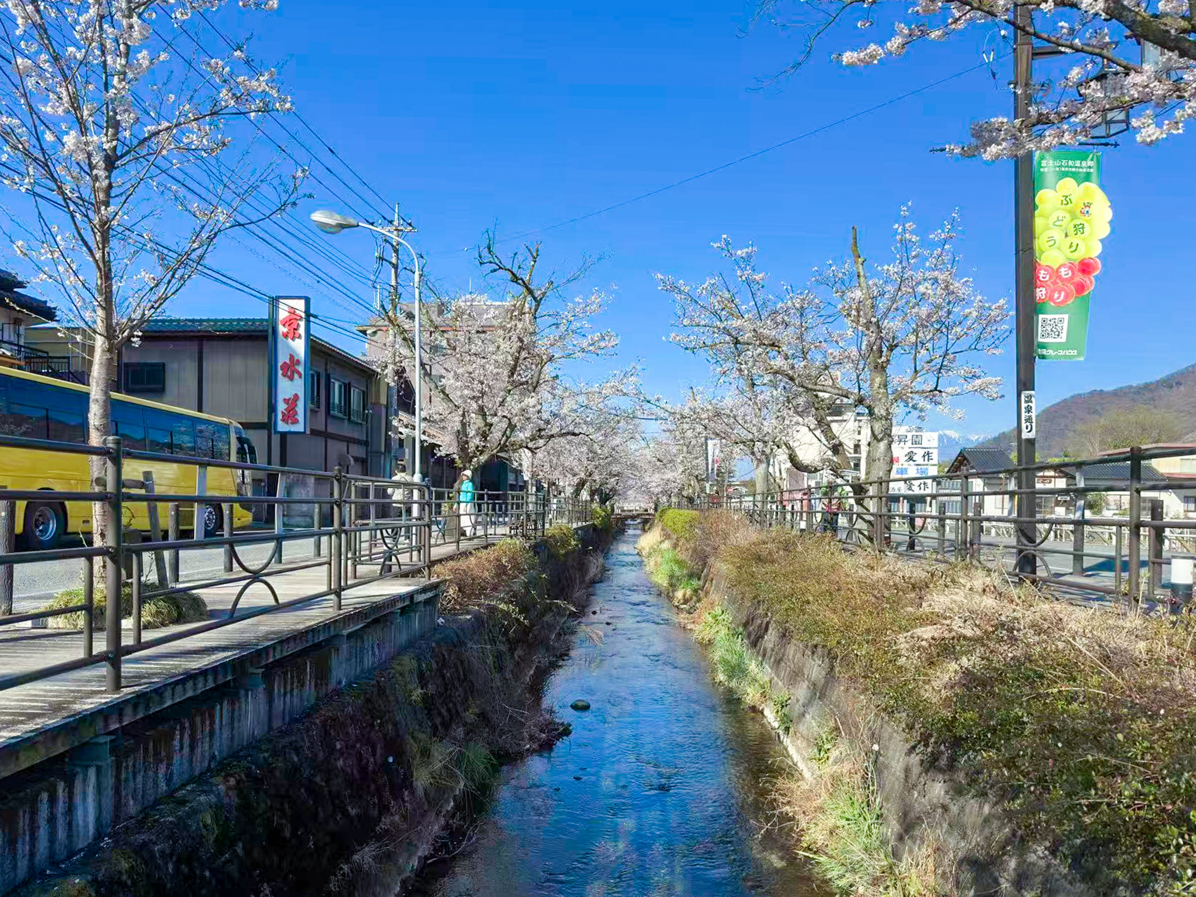 �����牷��ʂ�