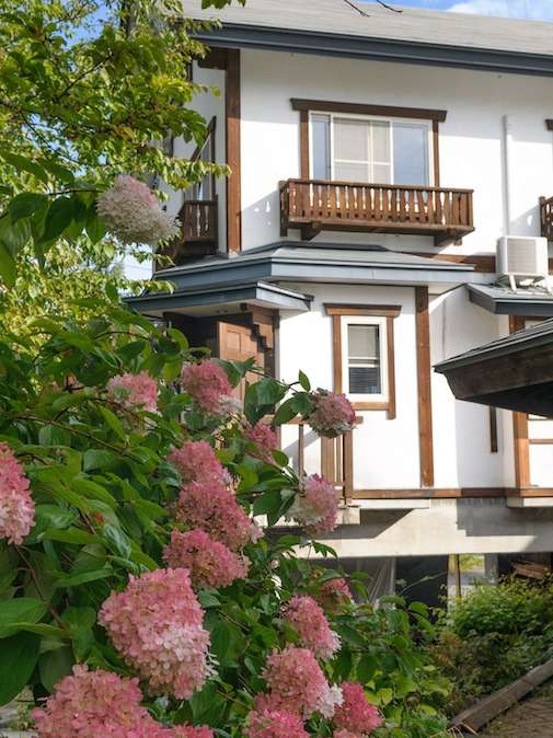 �R�e�[�W�O��