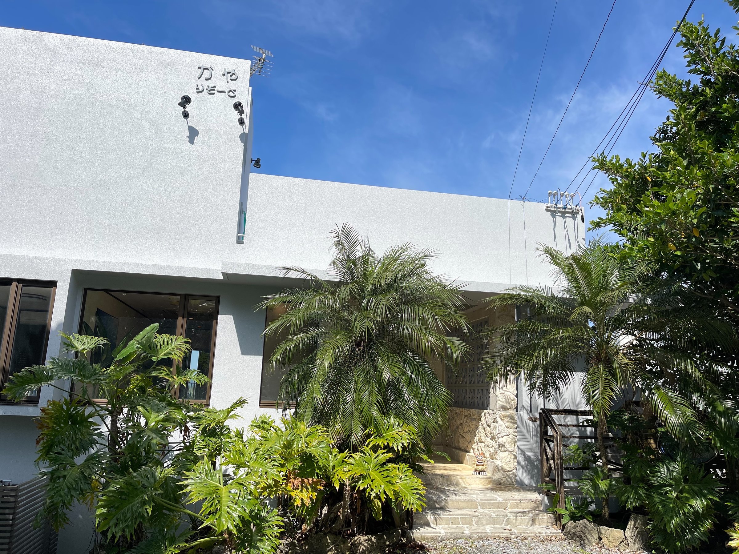 �O�σ��j���[�A��2025