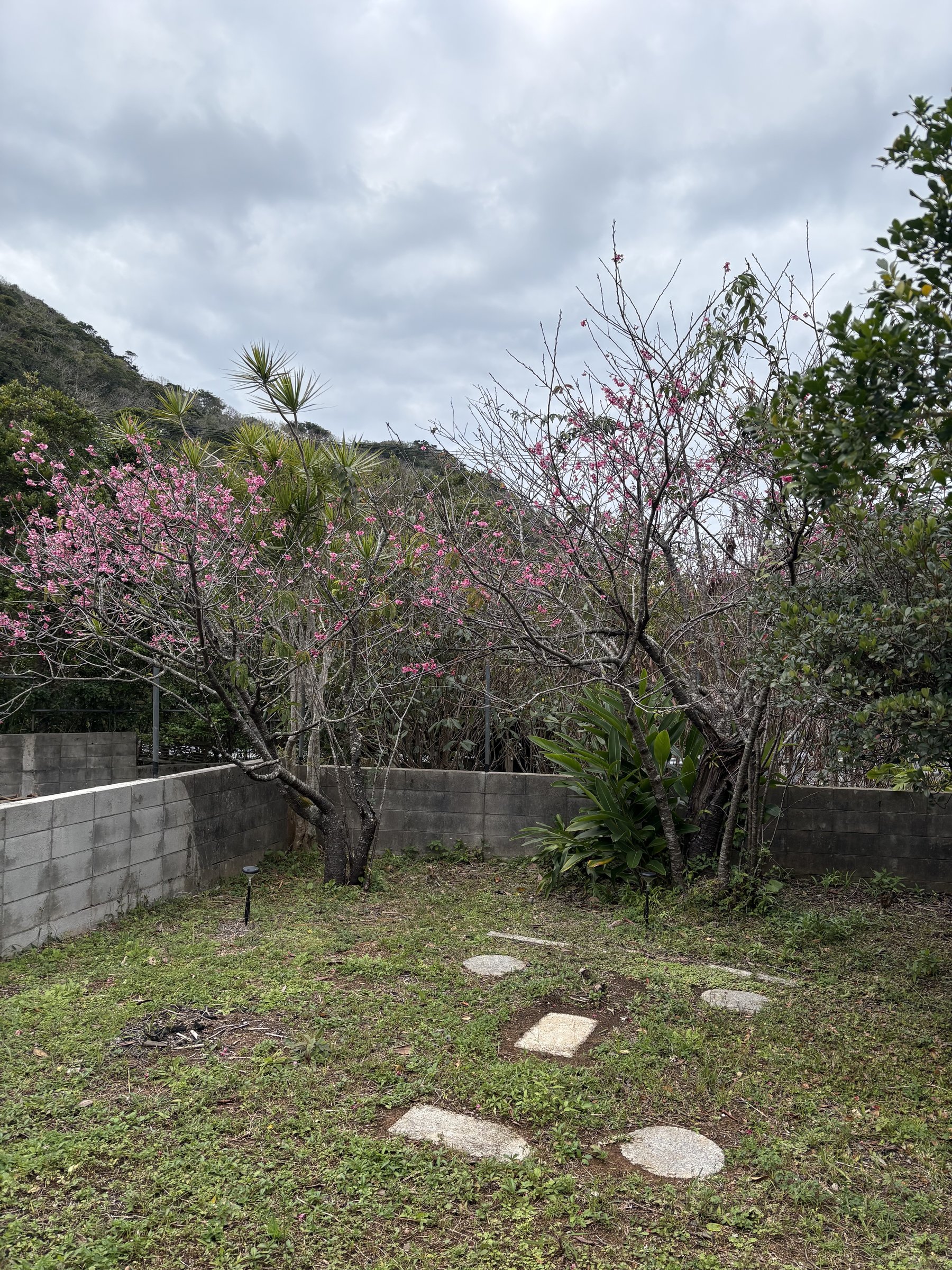 �G�߂��ƂɊy���߂܂�