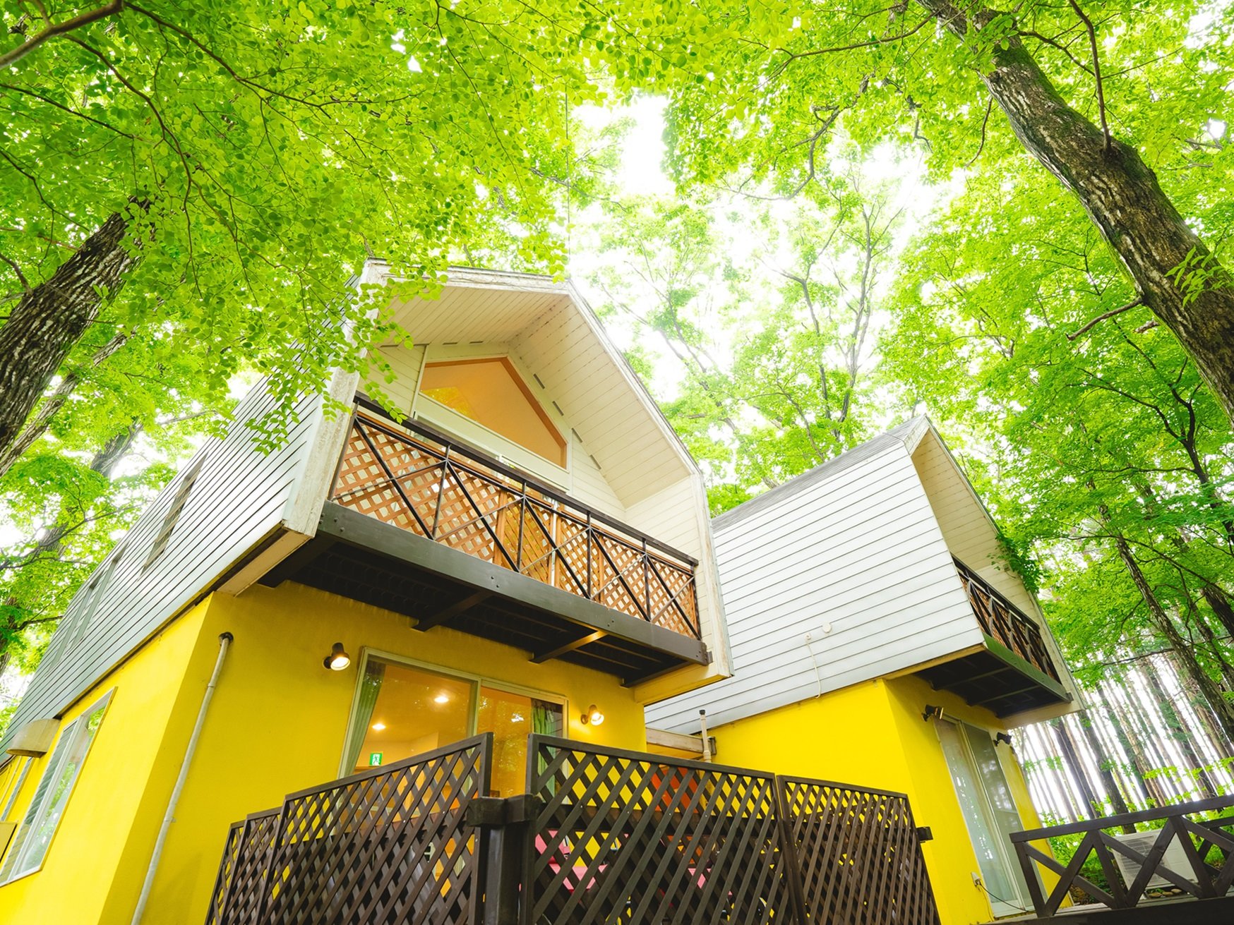 �}�C�i�X�C�I�����ӂ��u���ȐX�̒��ɂ���܂��I