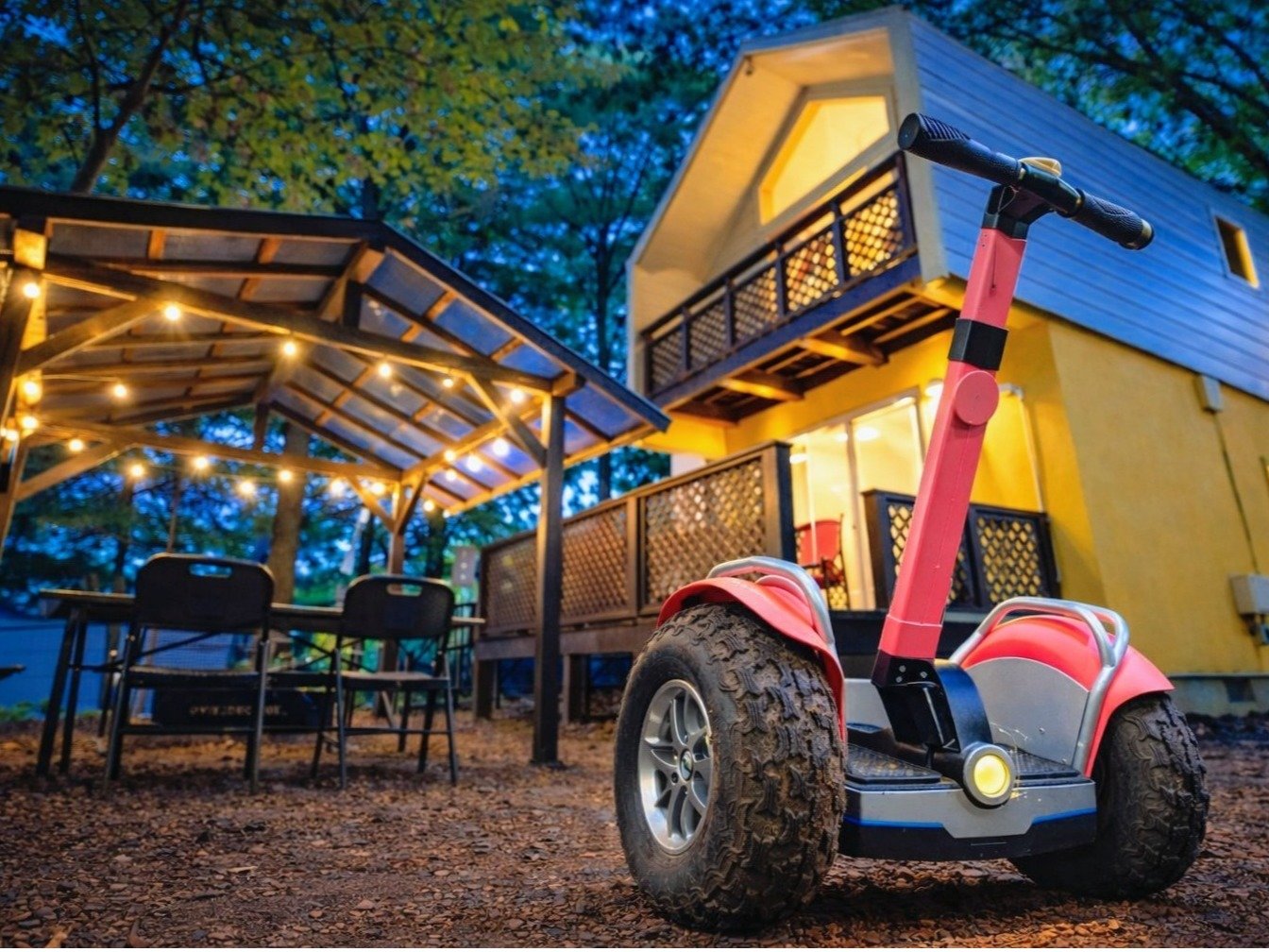 ���B���̊O�ςƃW���C�����C�h