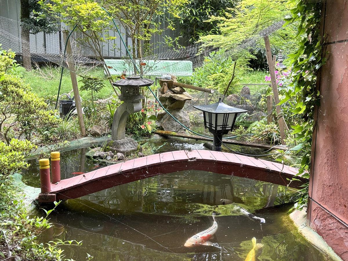 Ey{كr[zr[̑璭߂rɂ͕ȁےuvjł܂