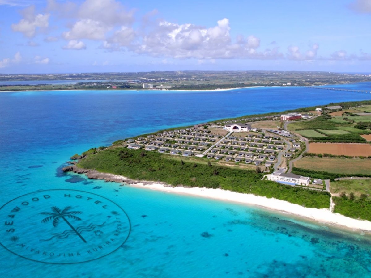 �C�Ƌ���q�����]�[�g�V�[�E�b�h�z�e���ւ悤����