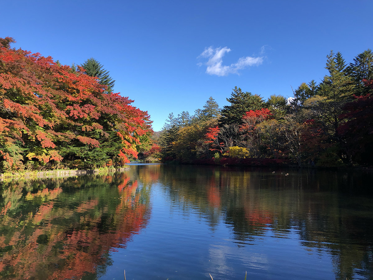 �g�t�̌����ȉ_��r�E�E�E���v������͎ԂłR�O���I�i�P�O�����{���猩���ł��j