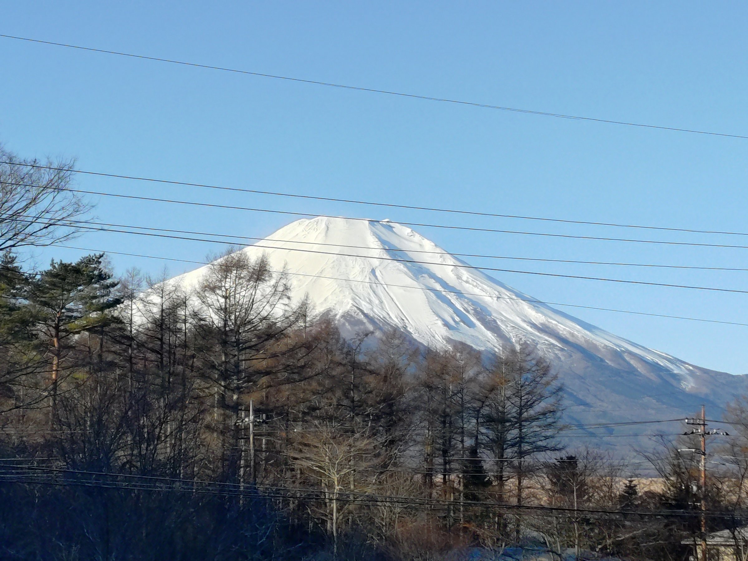 �S�q������x�m�R���y���߂܂�