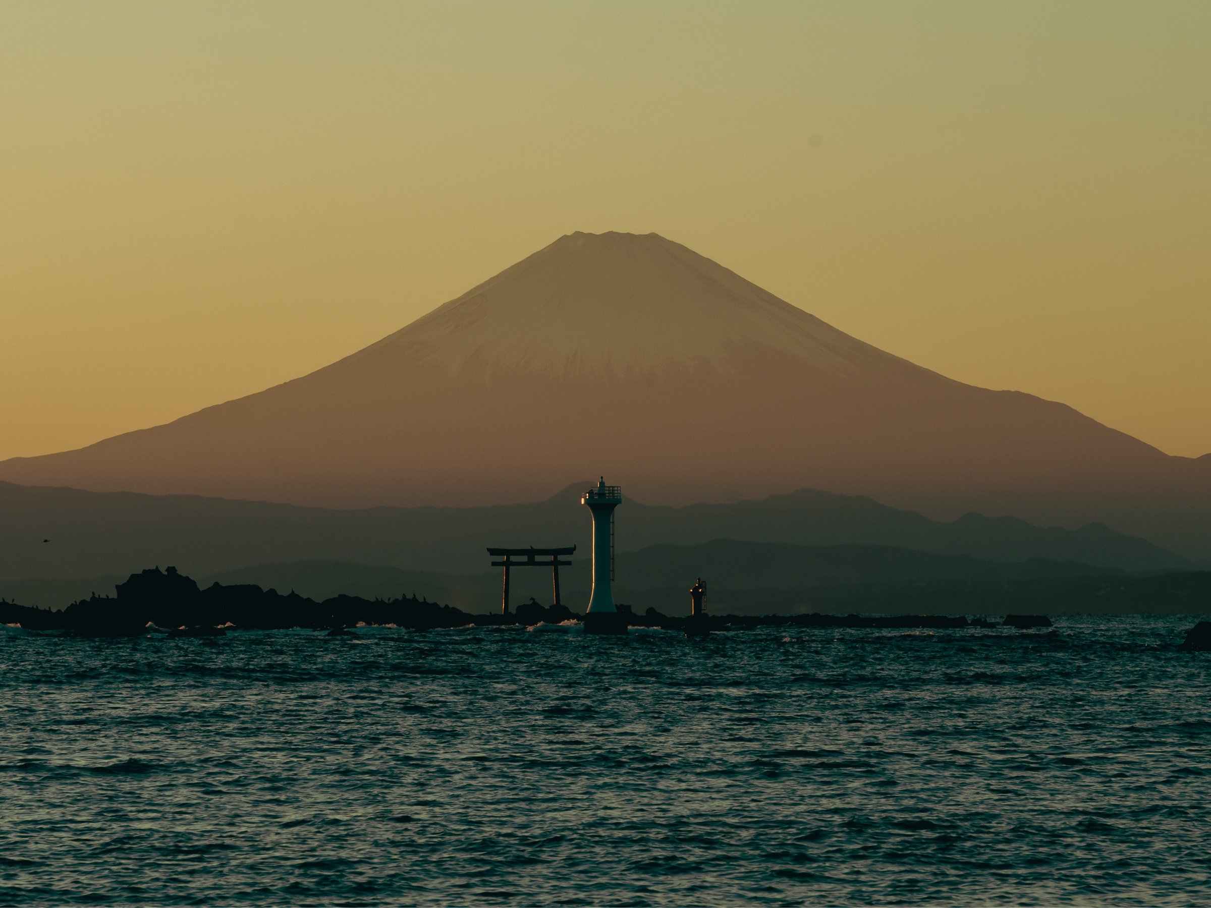 �^�����C�݂̗[���x�m�R�ƐX�ː_�Ђ̒����A�t�R���䂪�����܂�