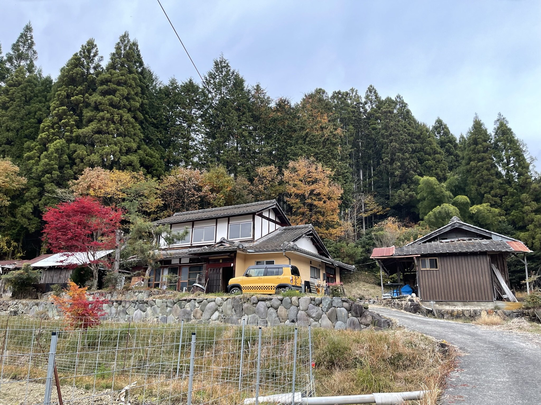 �H�ɂ͍g�t������܂����~�W�����ꂢ