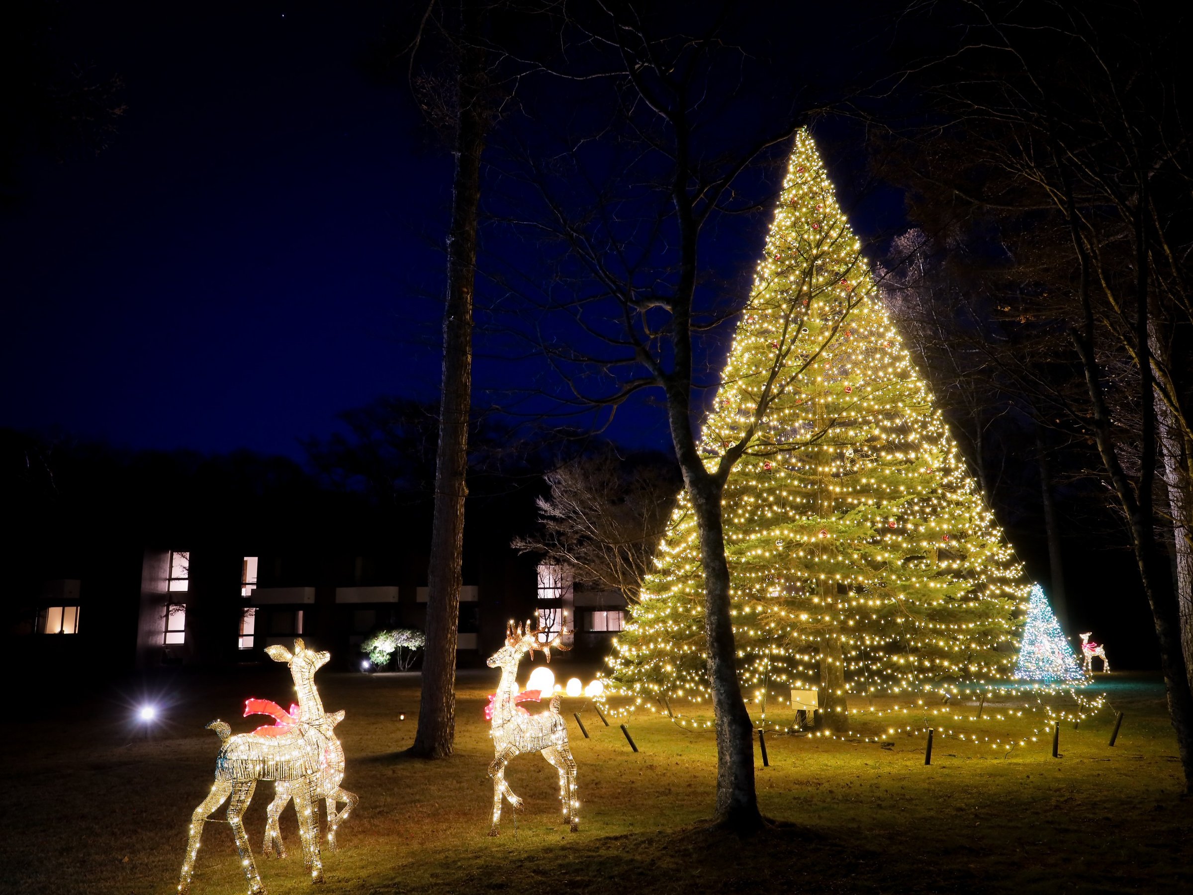 �N���X�}�X����1