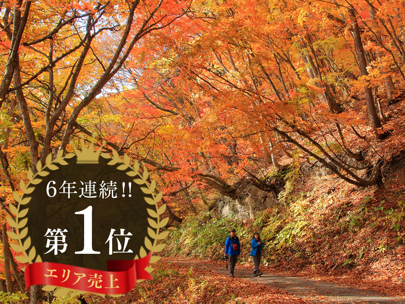 HyяHhCuƍUzf̍gtUŏH𖞋iBhpEFA݂oI