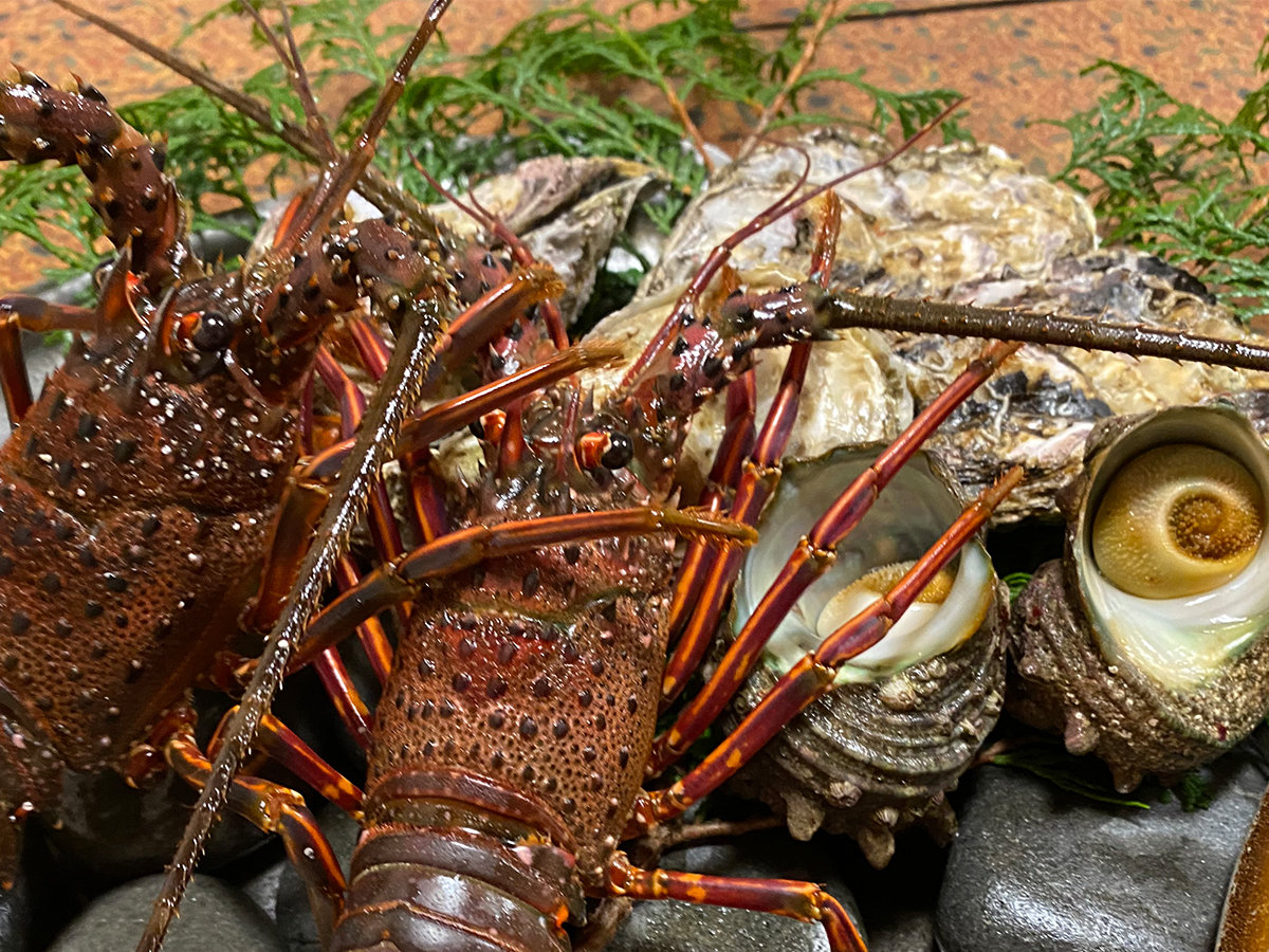 �ɐ��C�V�A���y�Ȃǂ̂�����ΏĂ������y�͓~����ƂȂ�܂��B