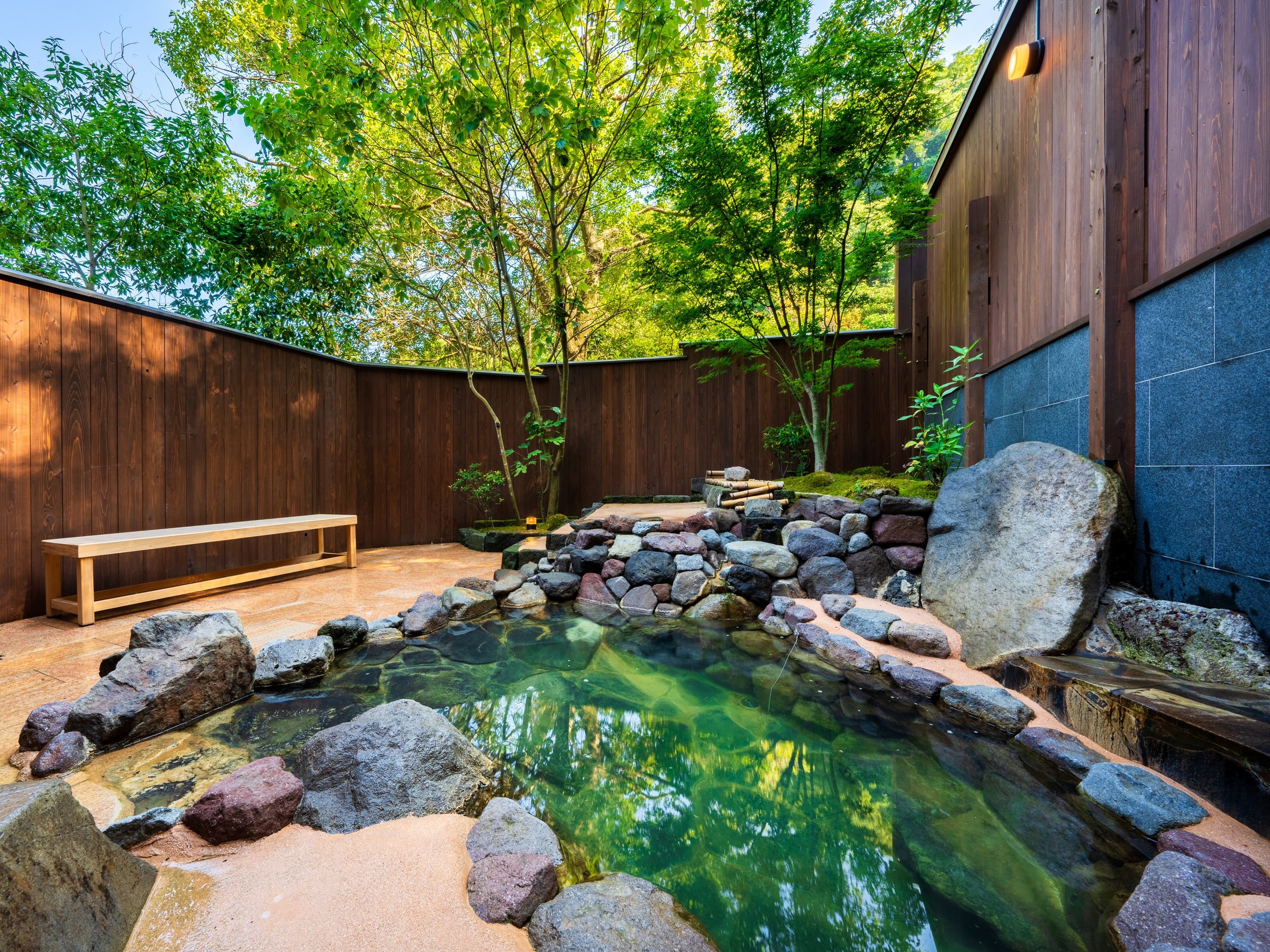 �Ƒ����C�i��̓��j