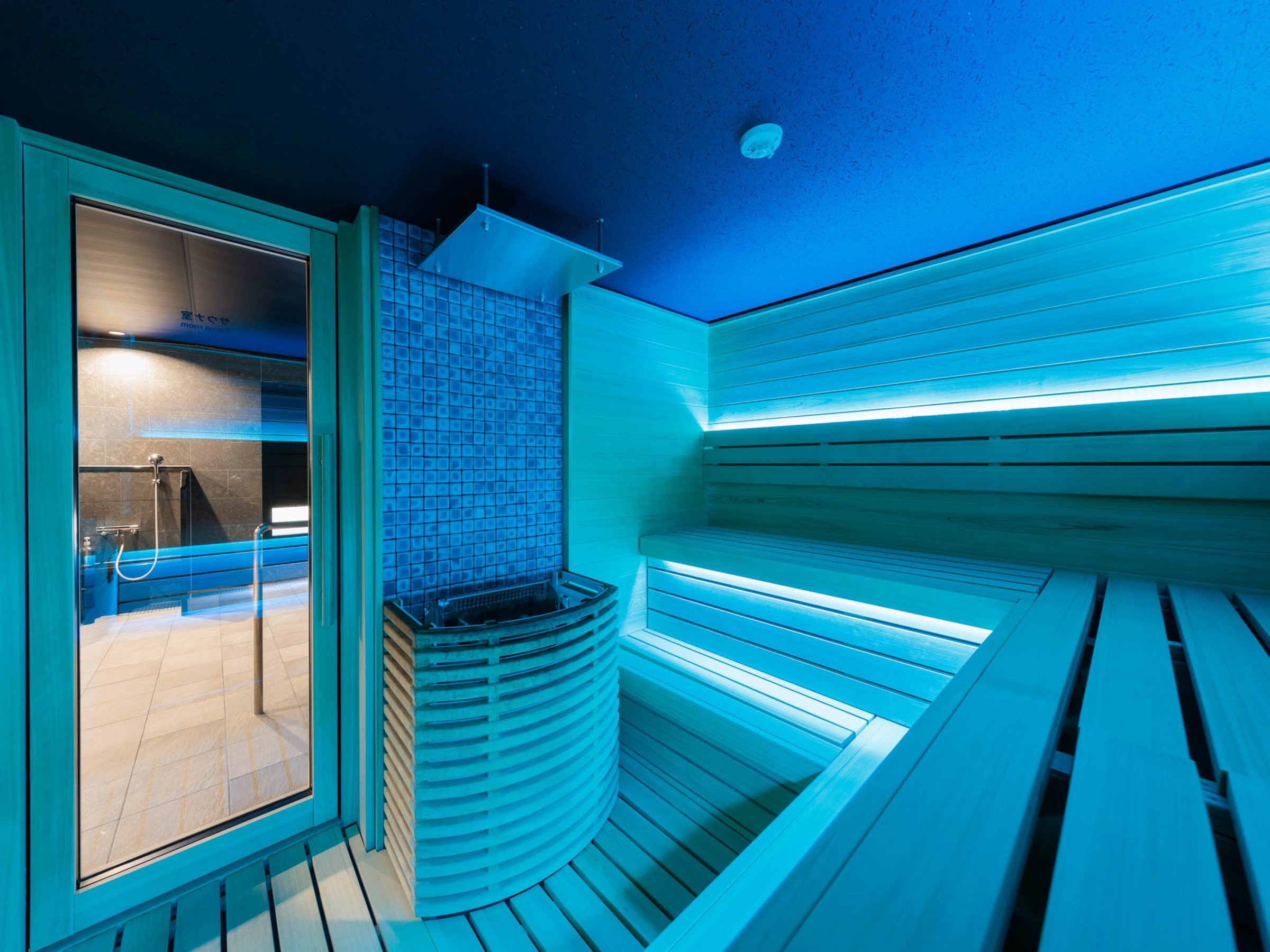 �X�p�E�T�E�i