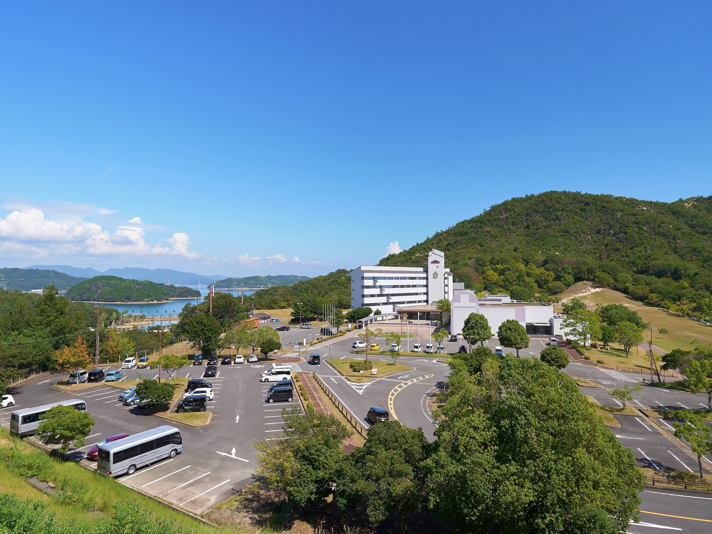 yOρzƂ̑ƎRɈ͂܂ꂽ100؂̕~nɂze