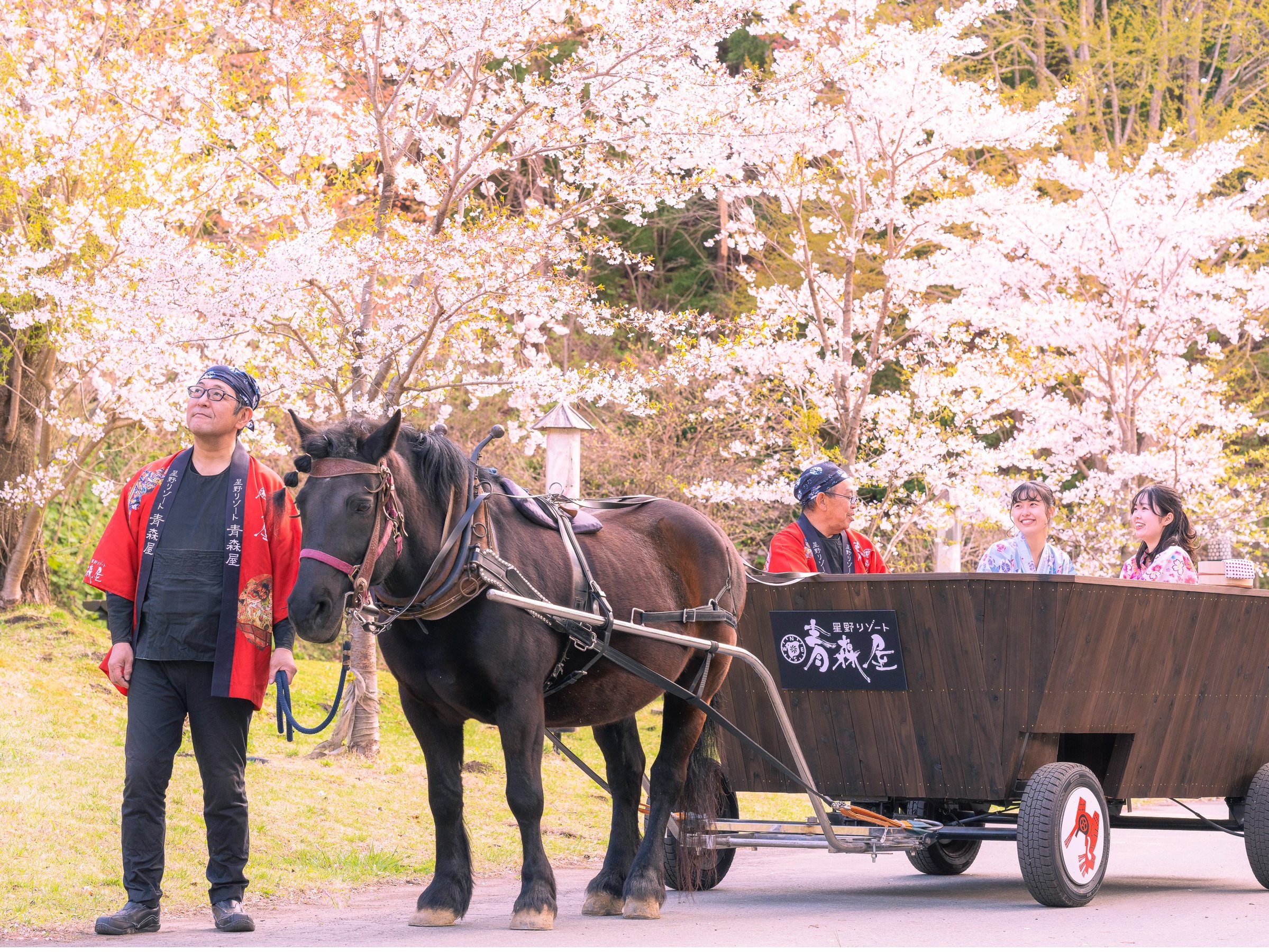 �����łʂ��ʂ��y���ށu�t�����n�ԁv�B�������̉��ƂƂ��ɁA�t�̌����U������y���݂��������܂��B