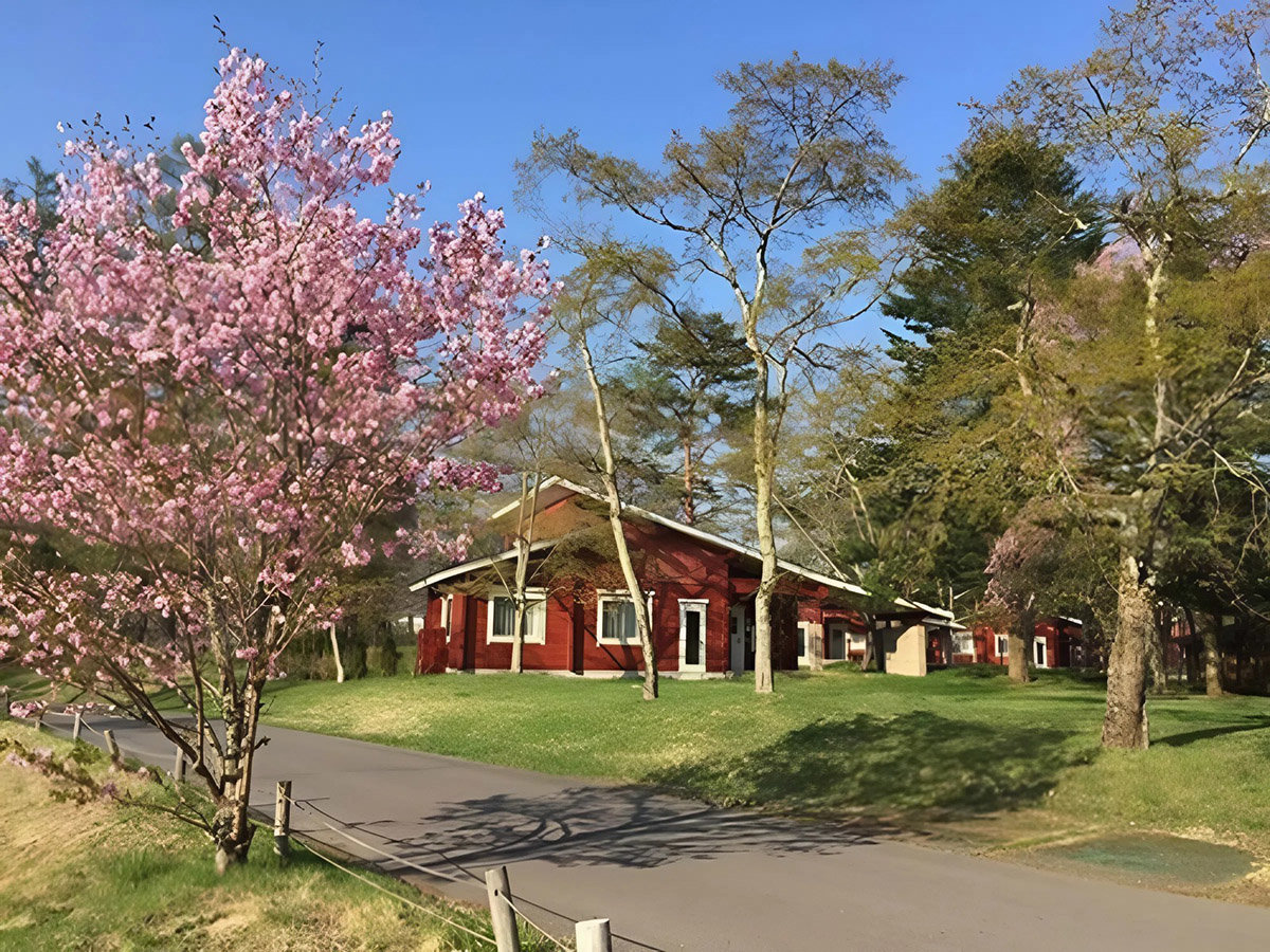 �U�E�v�����X ���B���y��� �e���X�^�C�v(��������) �O��