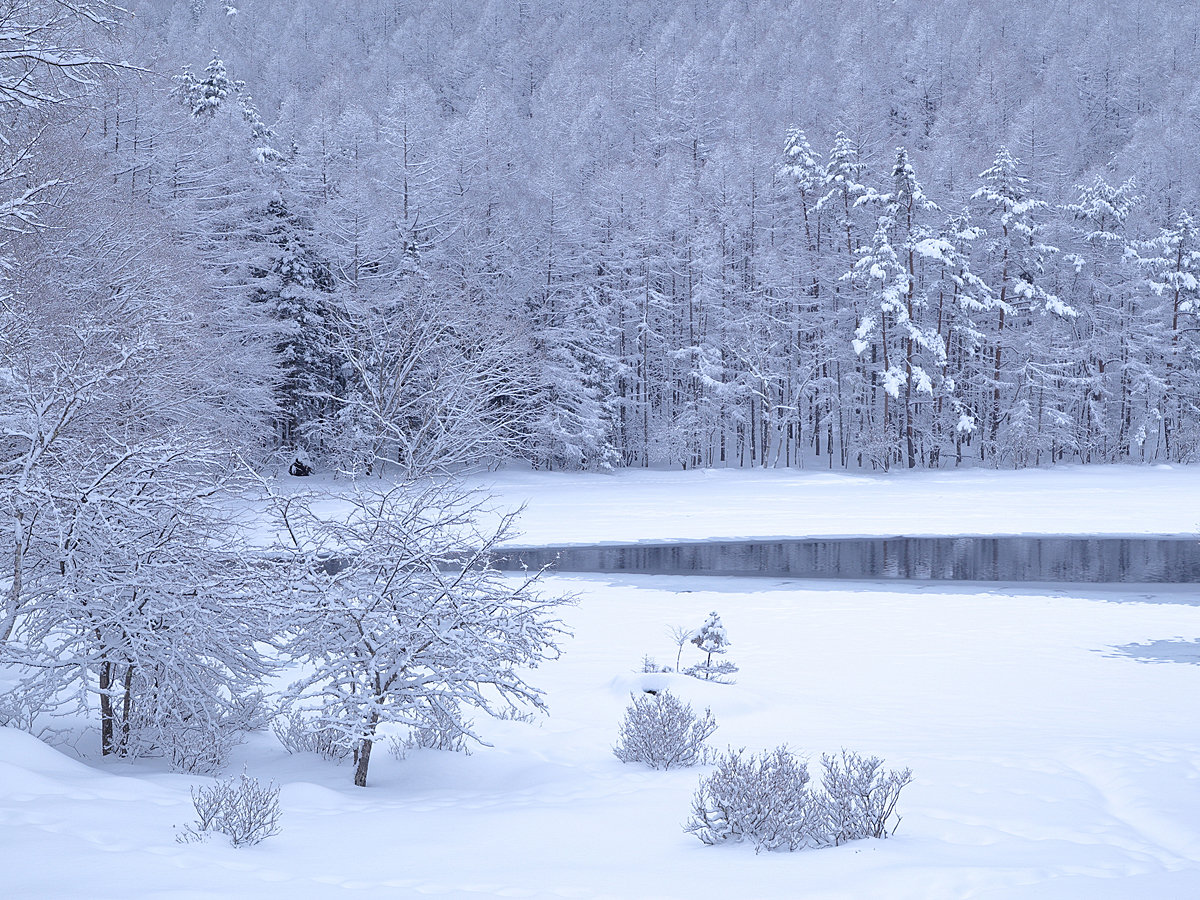 �^�~�̌�ˎ��r��������