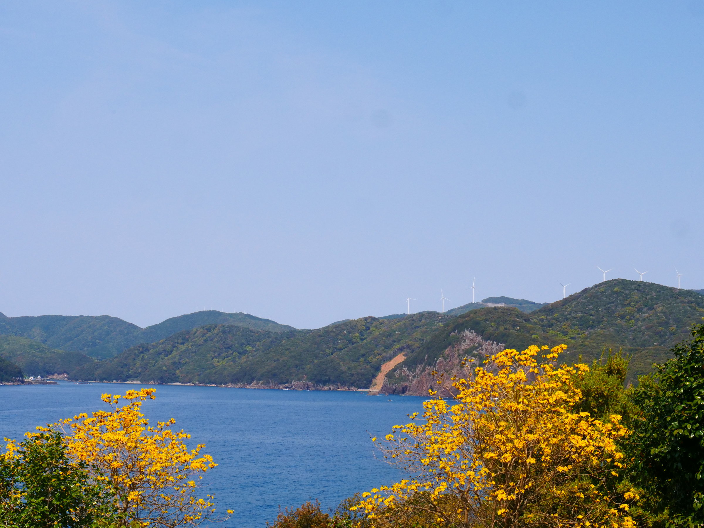 �R�K�l�m�E�[���ƊC