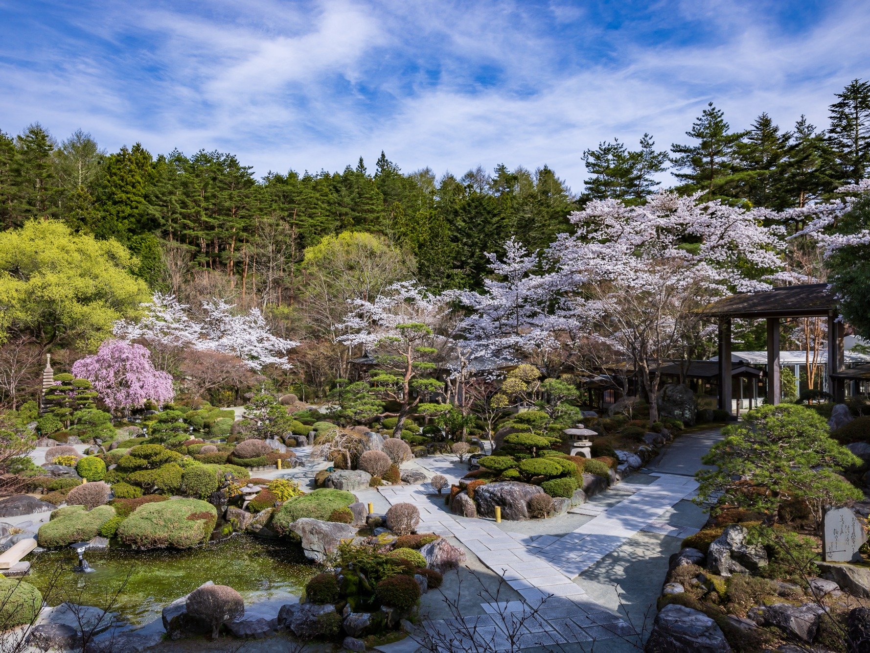 ���ق̍��̌����͗�N4�����{��