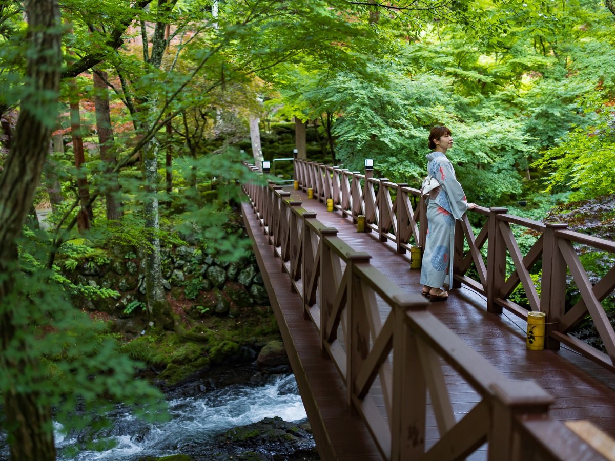 �뉀�j������̌j�앗��