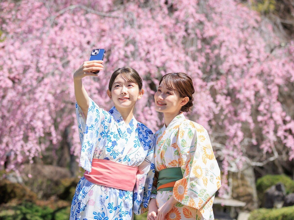 �t�̒뉀�^�뉀�̍��̌����͗�N�S�����{���ł�