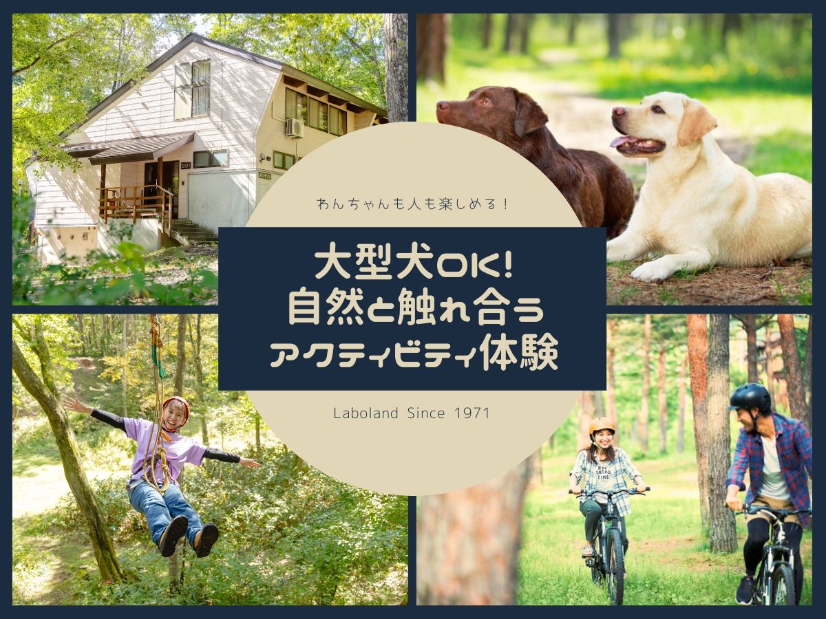 ���y�b�g���}���ǂ̑傫���ł����C�ł�OK�I�݂�ȂŊy���߂�A�N�e�B�r�e�B���[���I