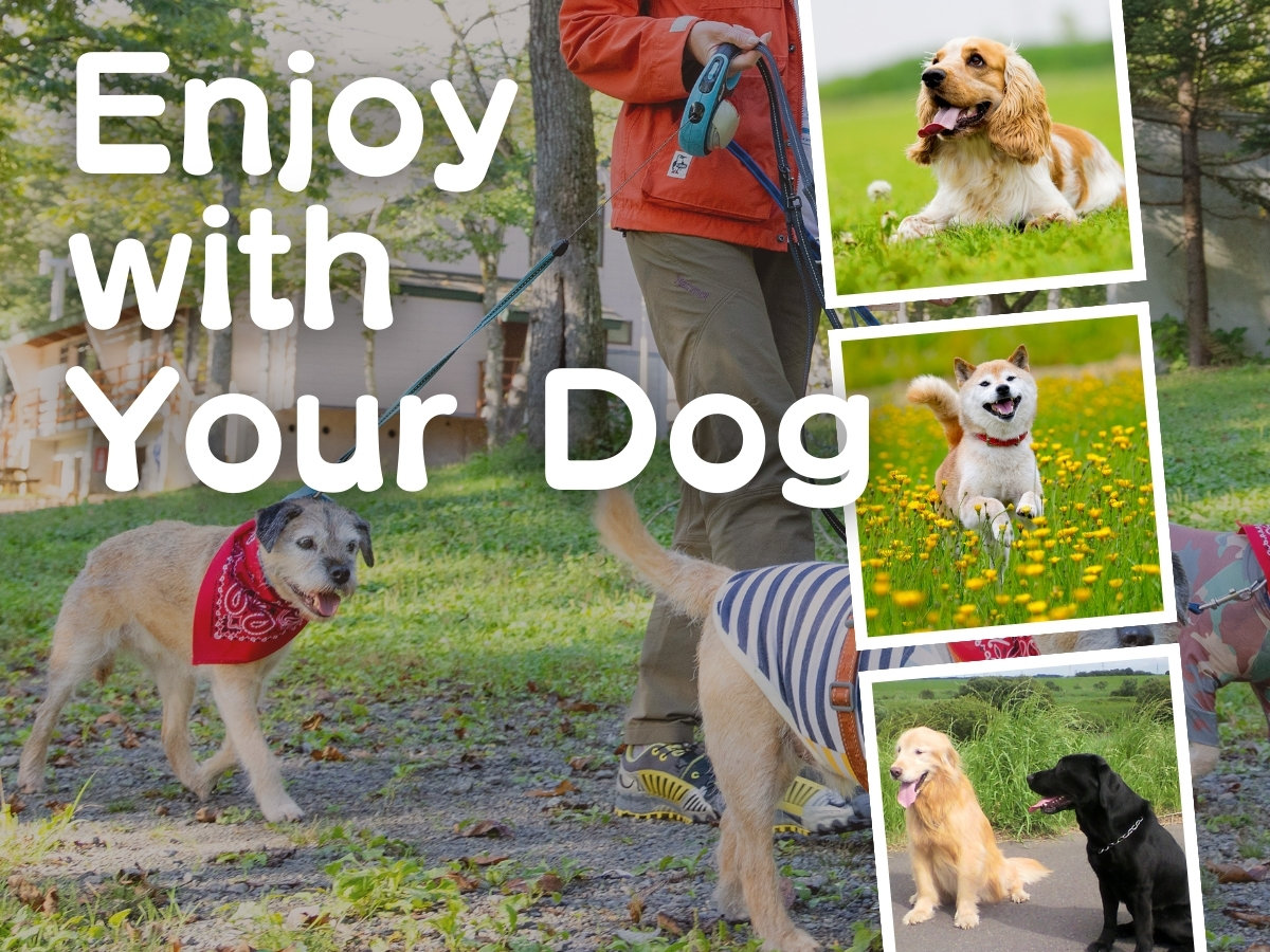 �y��񂿂��z�u�ǂ̑傫���ł����C�ł��v�h��OK�I��؂ȉƑ��ƈꏏ�ɑf�G�Ȏv���o����